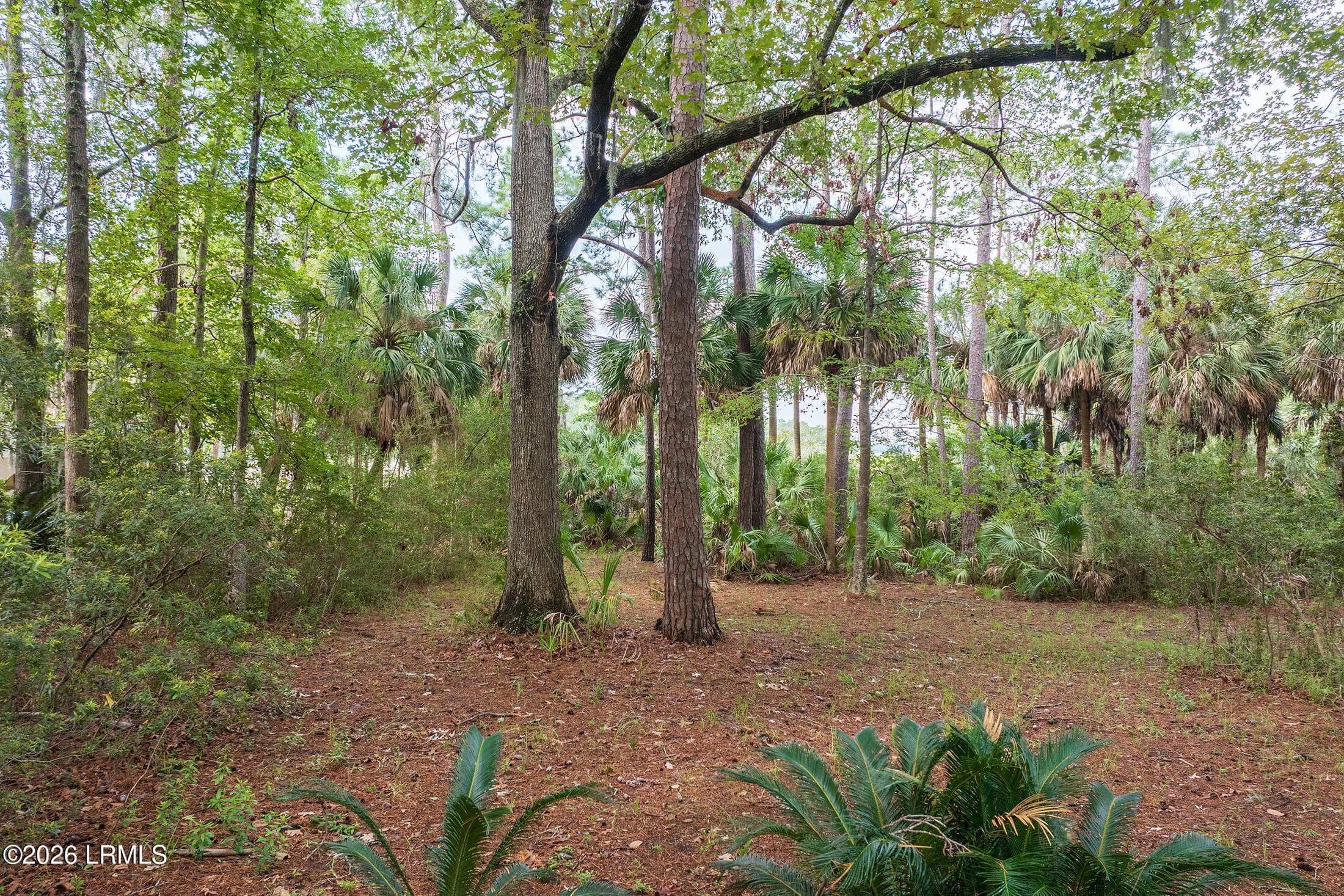 DJI_20260828102124_0009_D copy - 2 Bent Tree Lane, Okatie, SC 29909