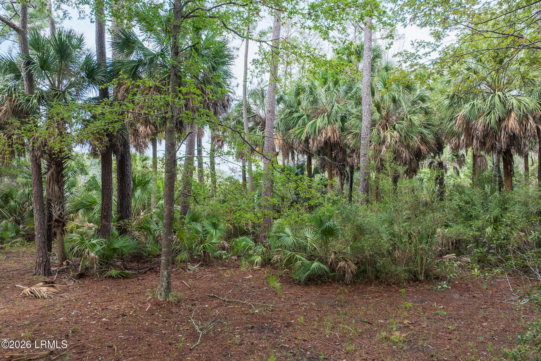 DJI_20260828102133_0011_D copy - 2 Bent Tree Lane, Okatie, SC 29909