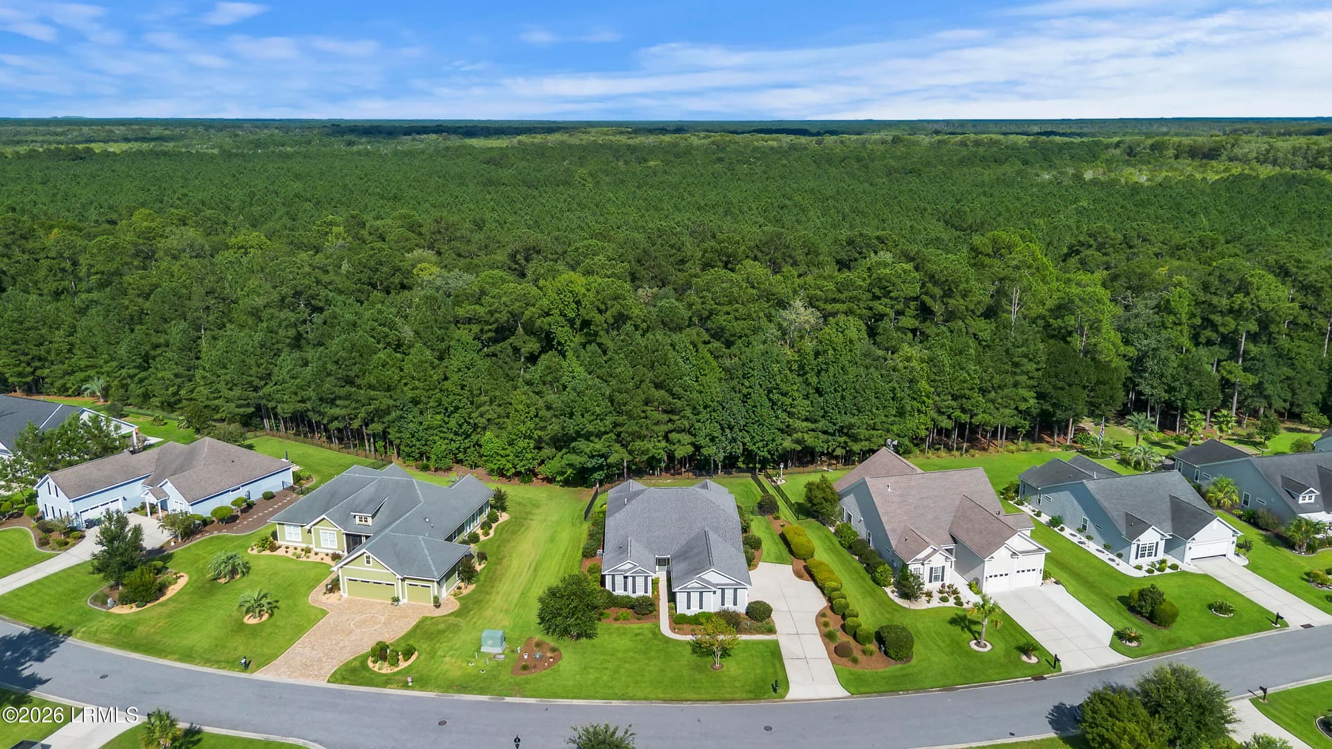 DJI_0014 - 1542 Wiregrass Way, Hardeeville, SC 29927