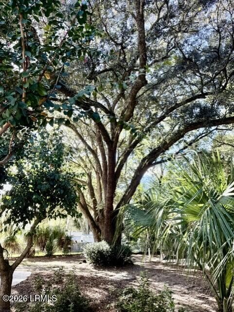 75e083aa-29cf-4ab0-bd6a-e13347984ebb - 1501 Lafayette Street, Beaufort, SC 29902