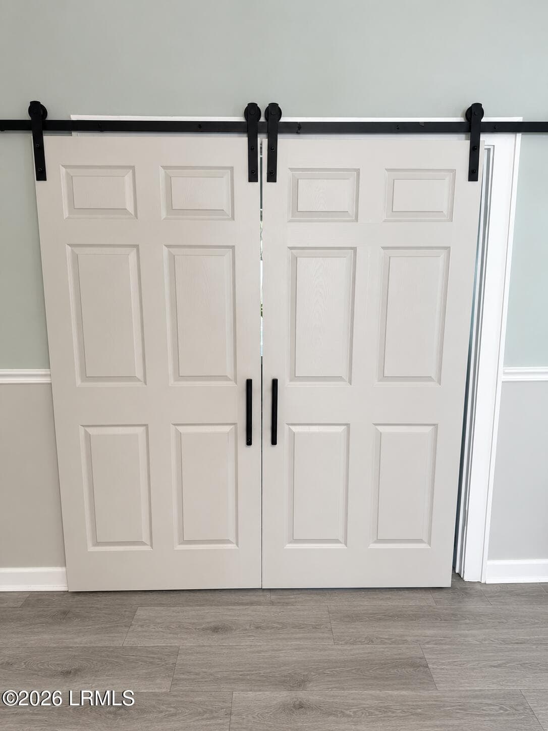 LR Barn Doors - 212 Keene Avenue, Estill, SC 29918