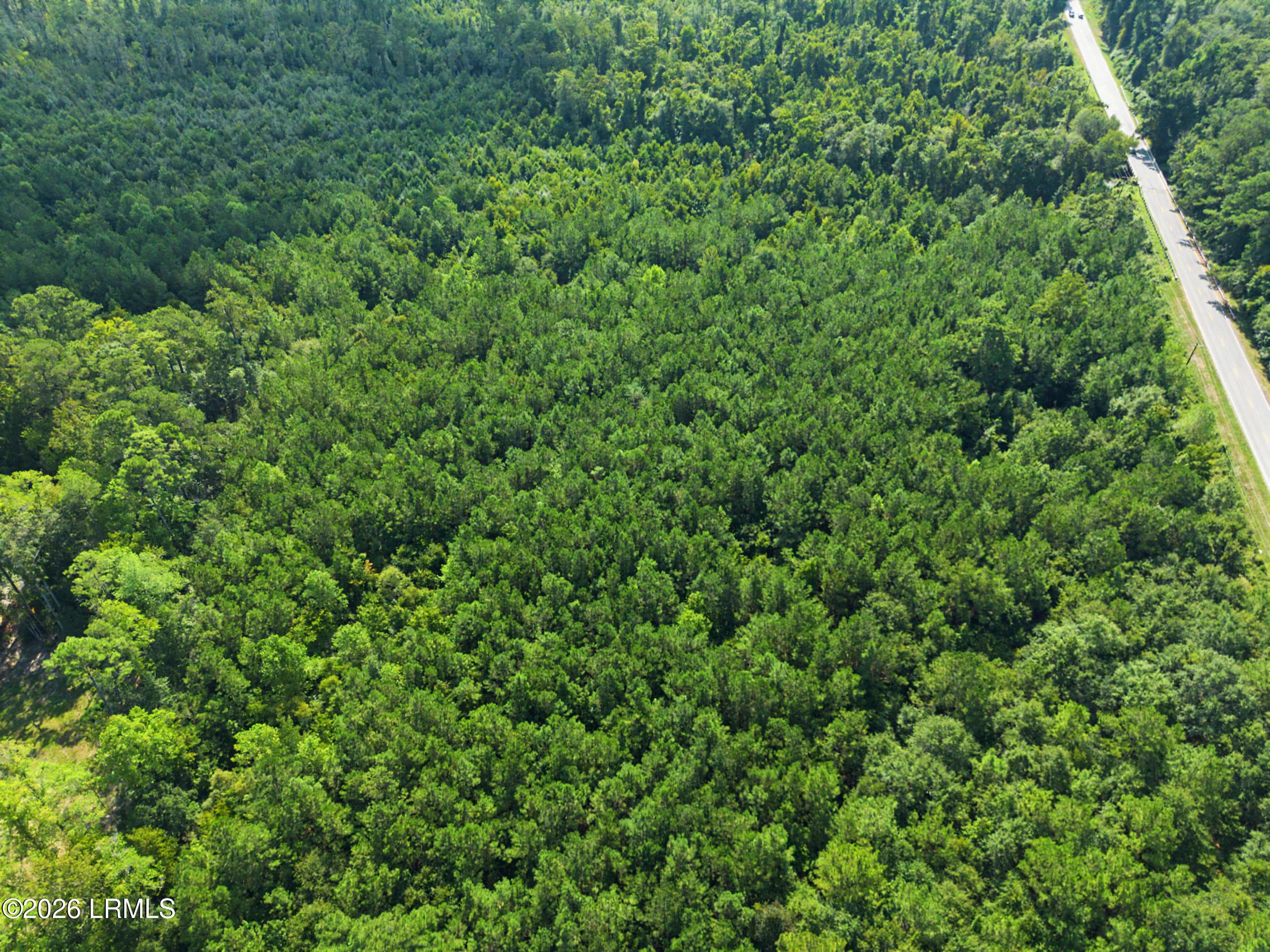 27_dji_0083 - Tbd Lot 5 Industrial Road, Walterboro, SC 29488