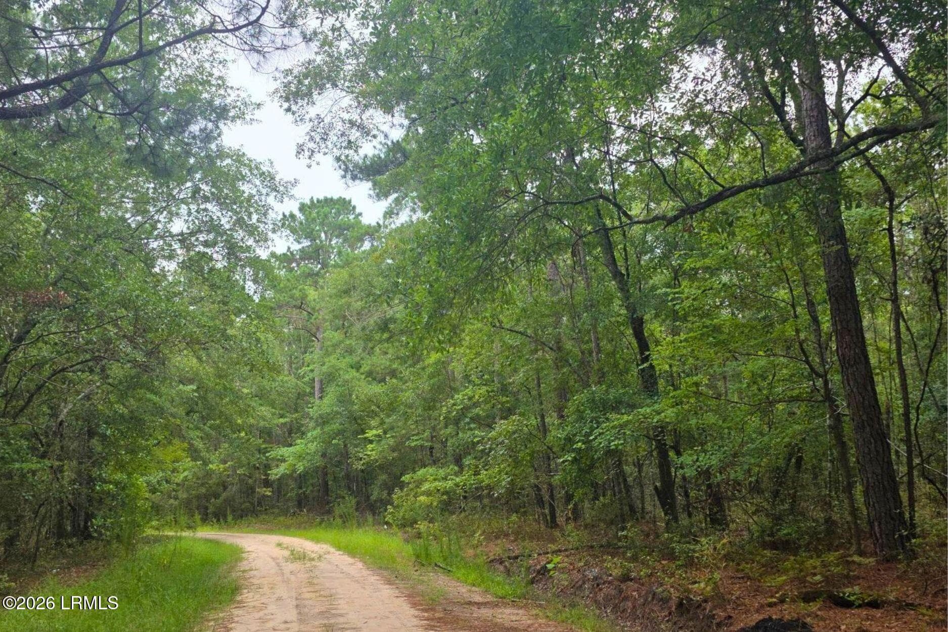 2 - 00 Wade Hampton Road, Hampton, SC 29924, Hampton