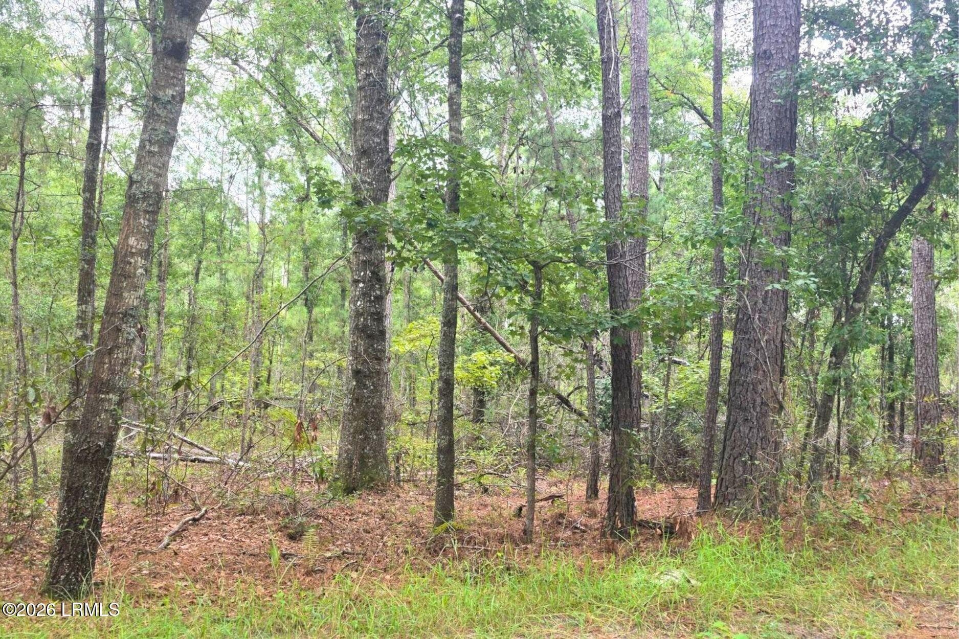 7 - 00 Wade Hampton Road, Hampton, SC 29924, Hampton