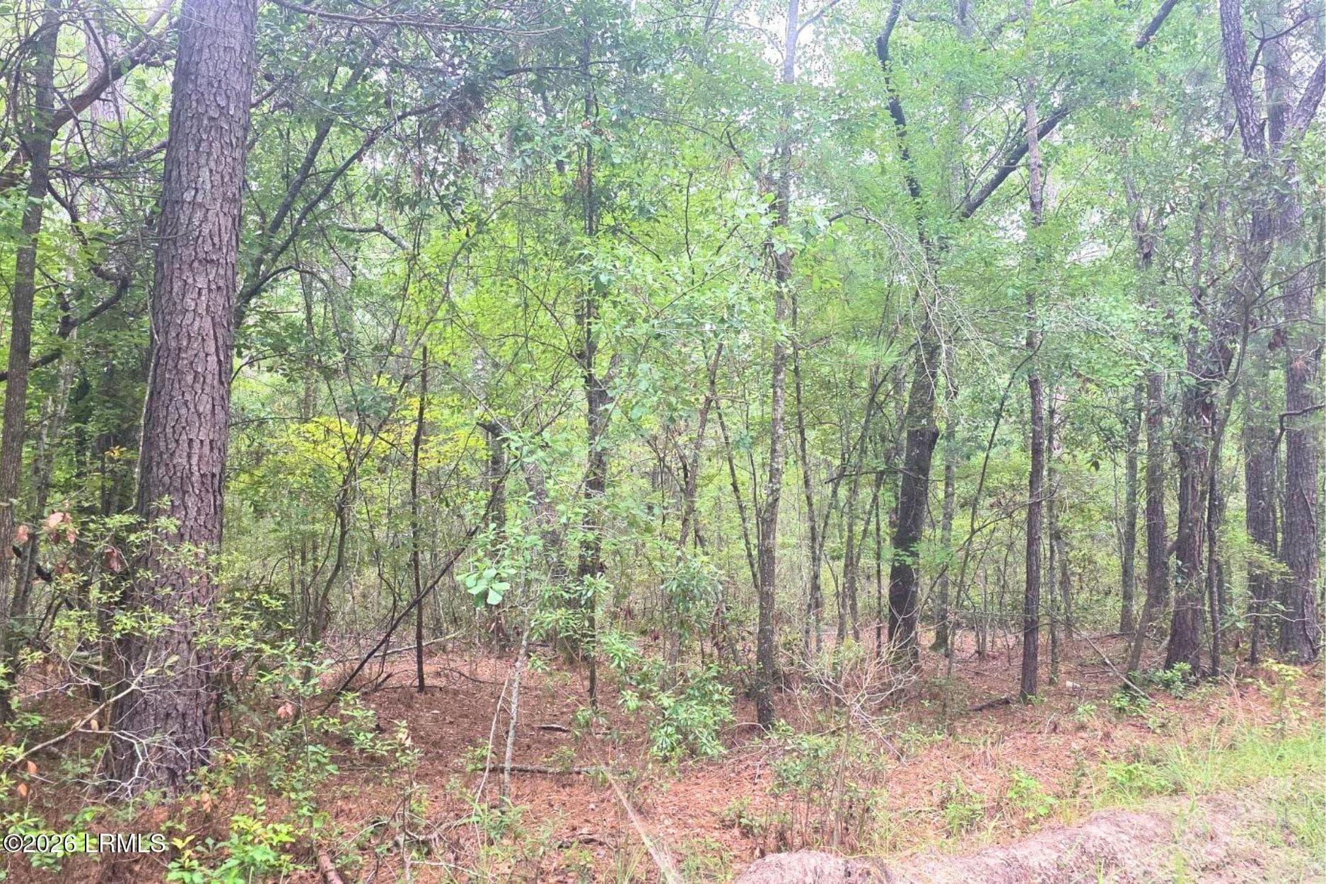 8 - 00 Wade Hampton Road, Hampton, SC 29924, Hampton