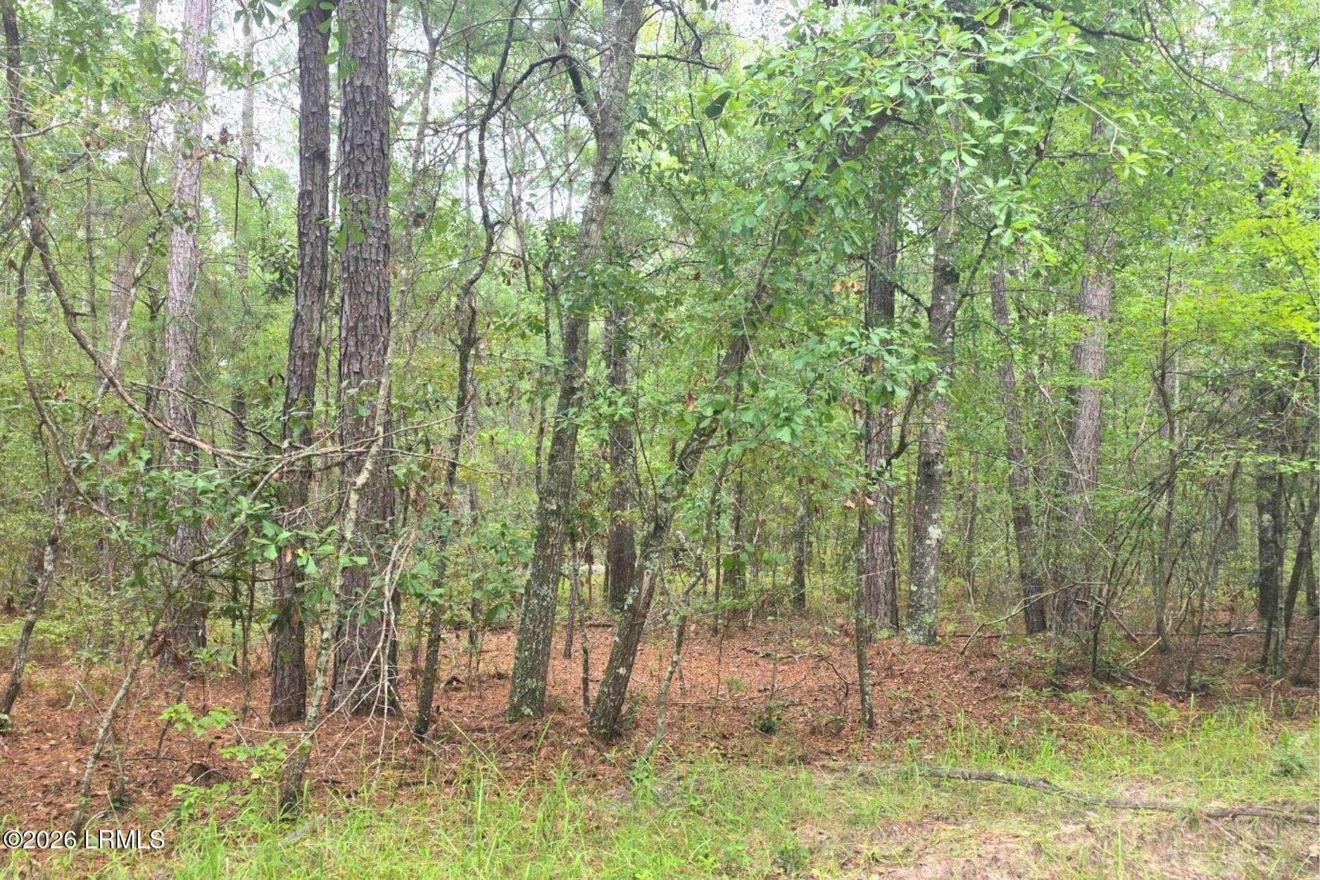 9 - 00 Wade Hampton Road, Hampton, SC 29924, Hampton