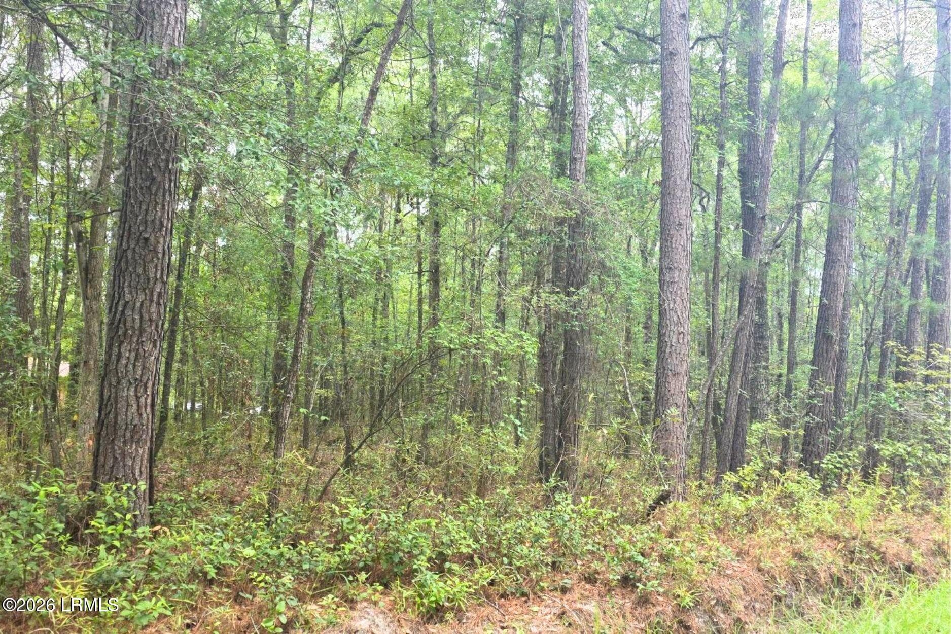 11 - 00 Wade Hampton Road, Hampton, SC 29924, Hampton