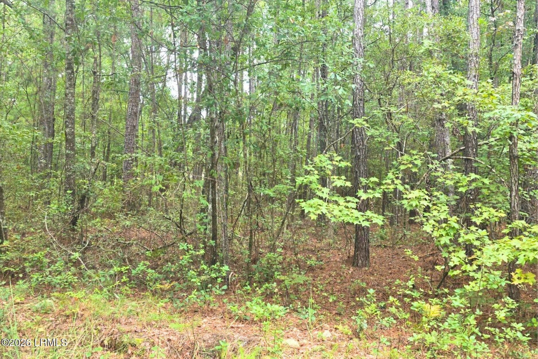 12 - 00 Wade Hampton Road, Hampton, SC 29924, Hampton