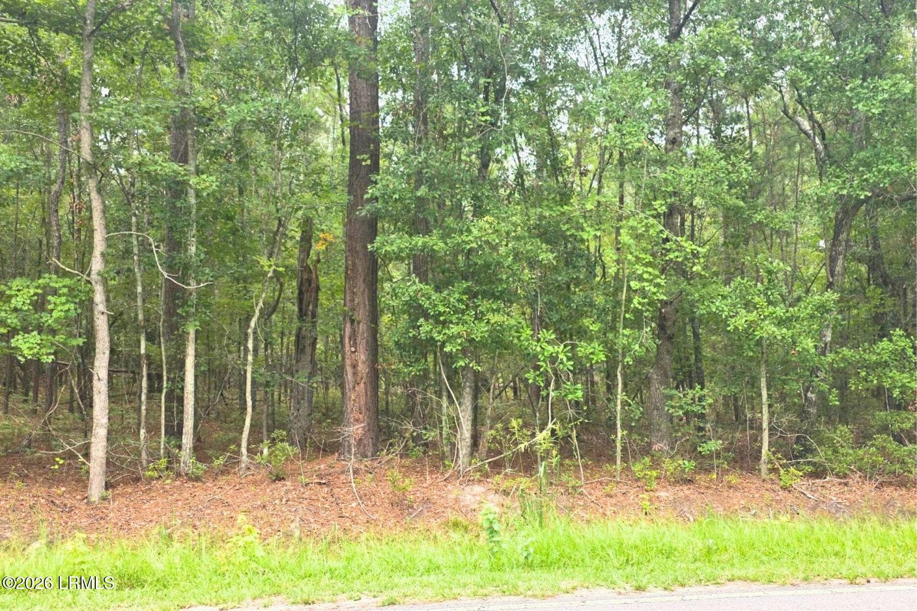 13 - 00 Wade Hampton Road, Hampton, SC 29924, Hampton