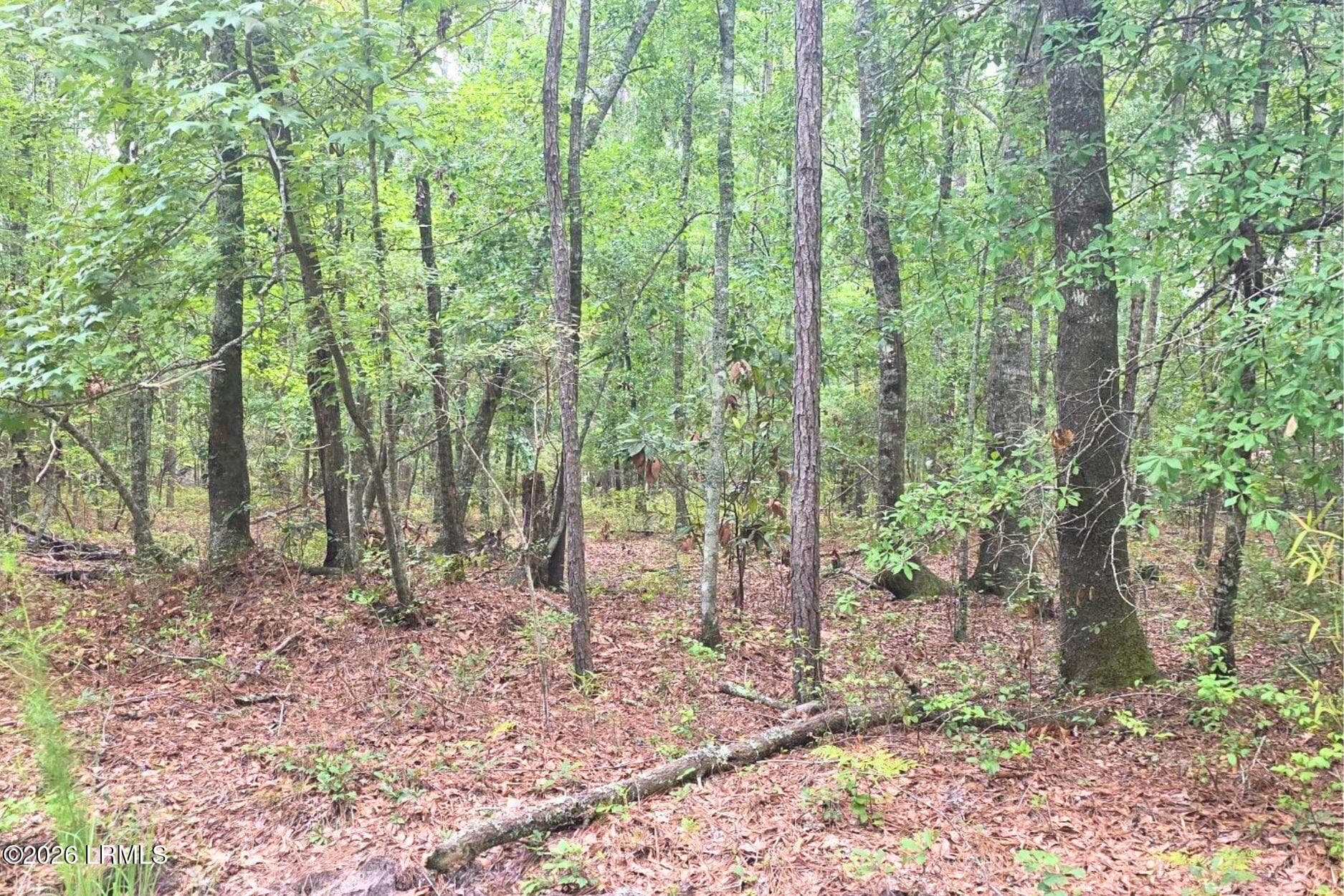 14 - 00 Wade Hampton Road, Hampton, SC 29924, Hampton