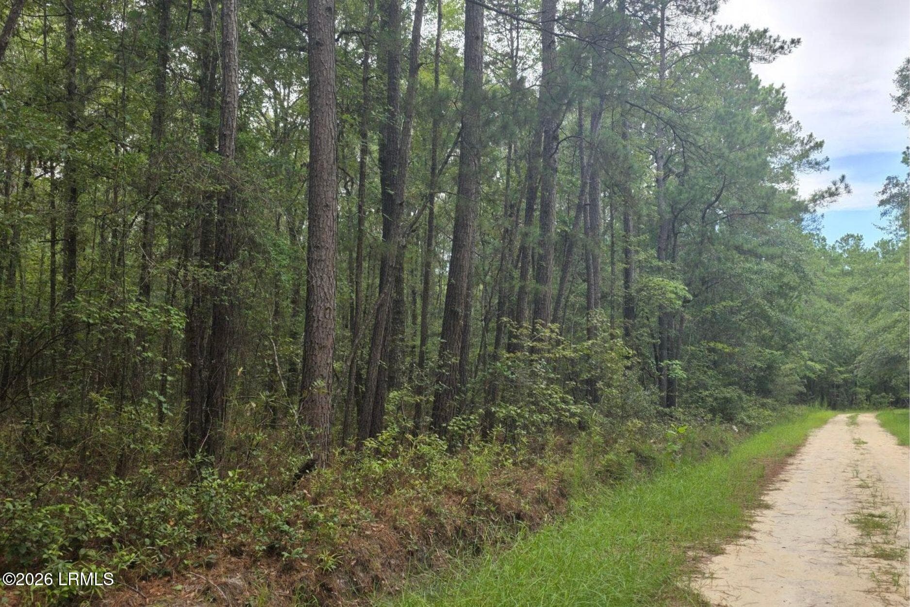 16 - 00 Wade Hampton Road, Hampton, SC 29924, Hampton