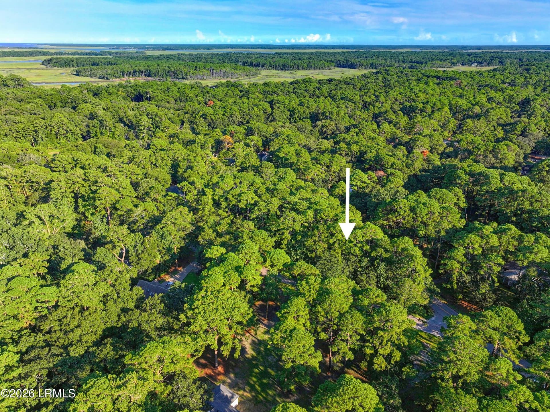 dji_fly_20260901_131206_0239_17883003826 - 4 And 6 Pickens Street, Beaufort, SC 29907