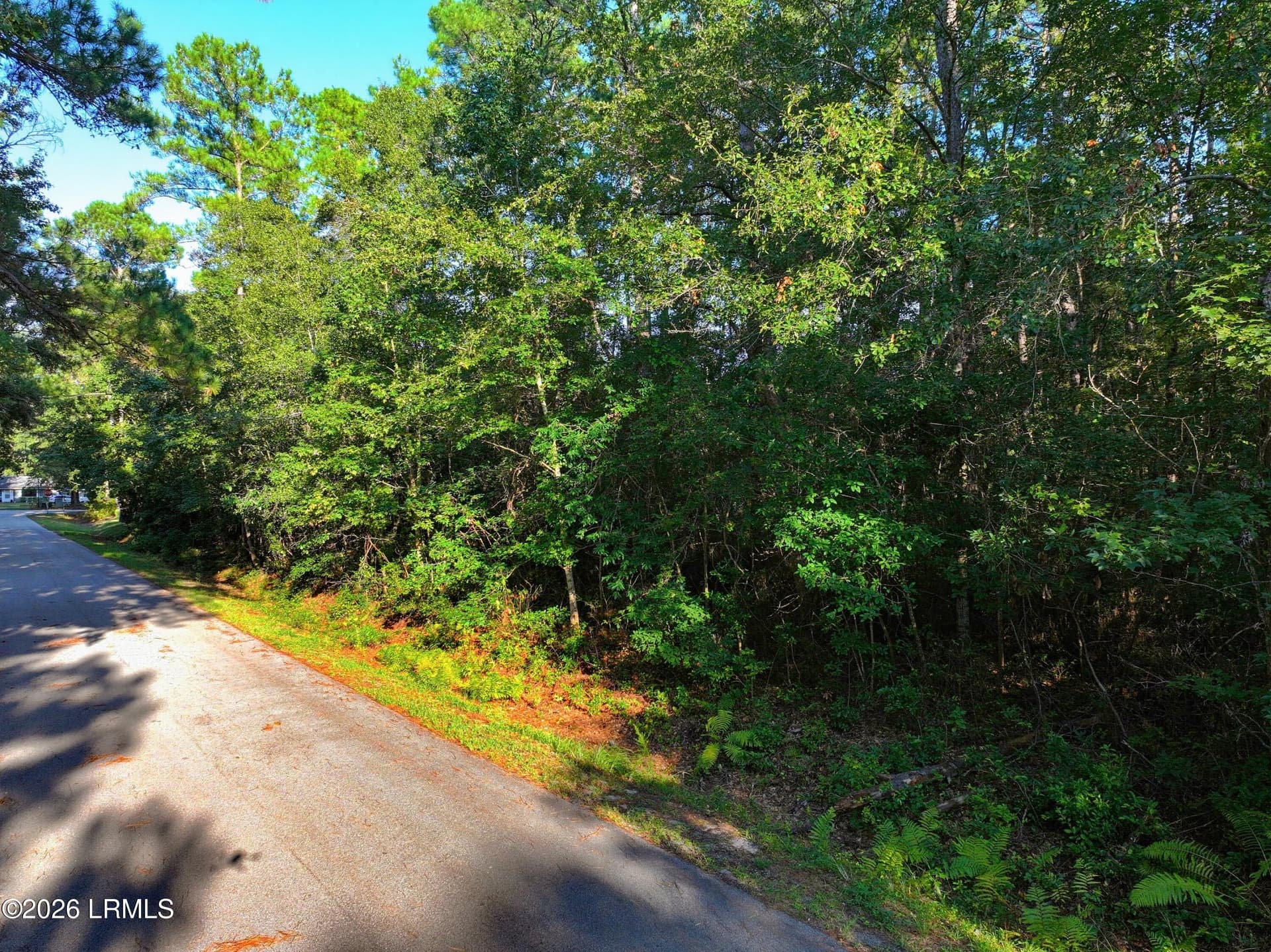 ROAD VIEW WINTHROP ST - 4 And 6 Pickens Street, Beaufort, SC 29907