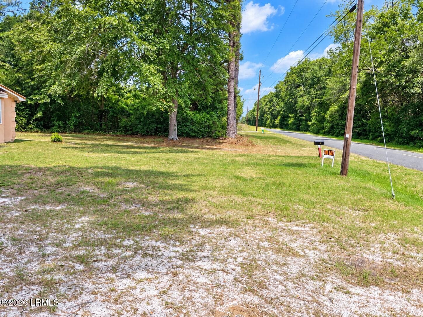 FRONT YARD - 315 Beech Branch Road, Luray, SC 29932