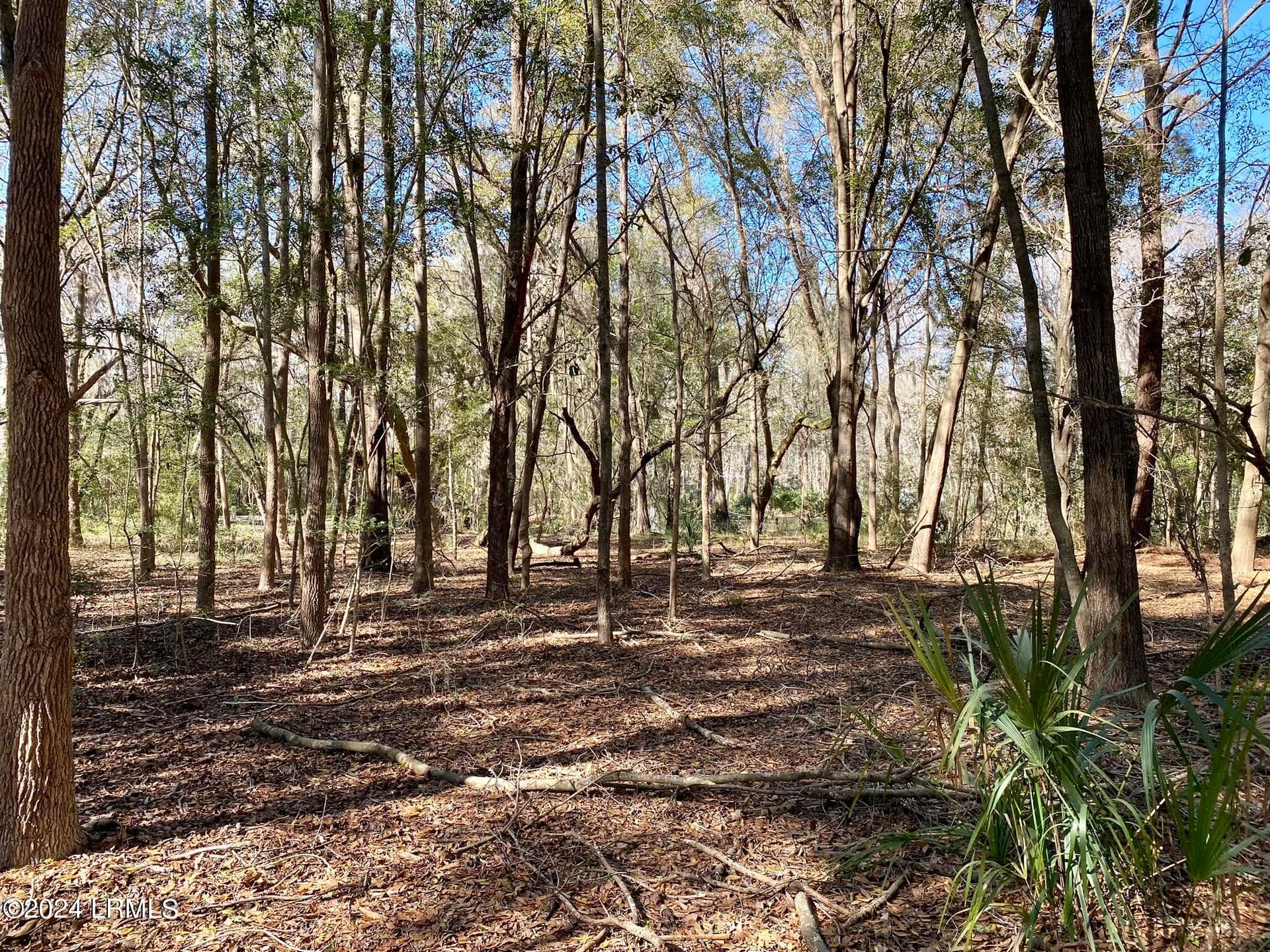 31 Honeysuckle Lane, Beaufort, SC 29907