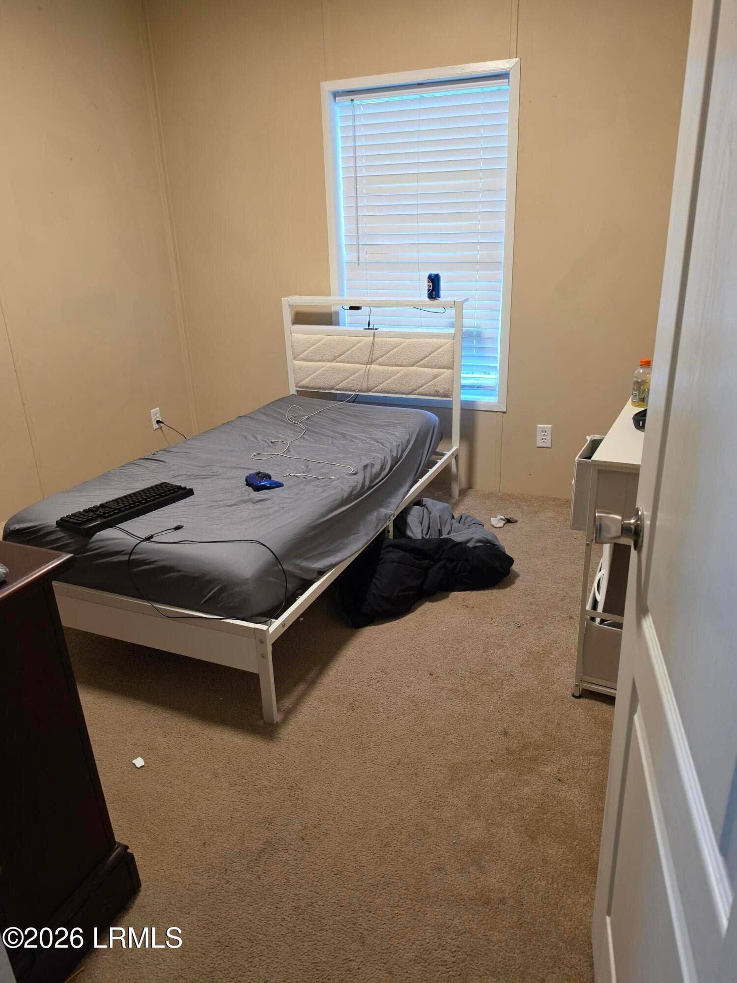 20260923_182930 - 216 Joyland Lane, Cottageville, SC 29435