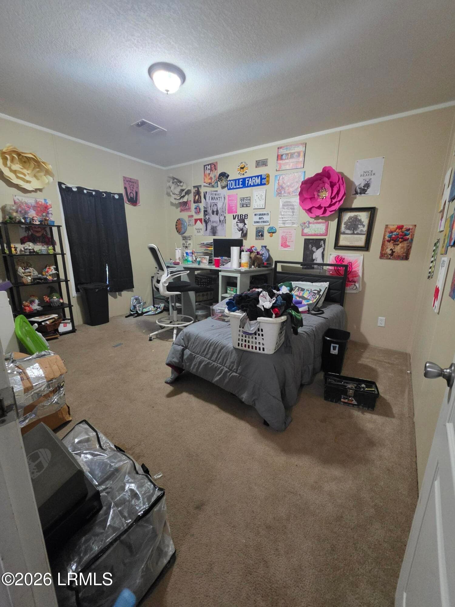 20260923_182950 - 216 Joyland Lane, Cottageville, SC 29435