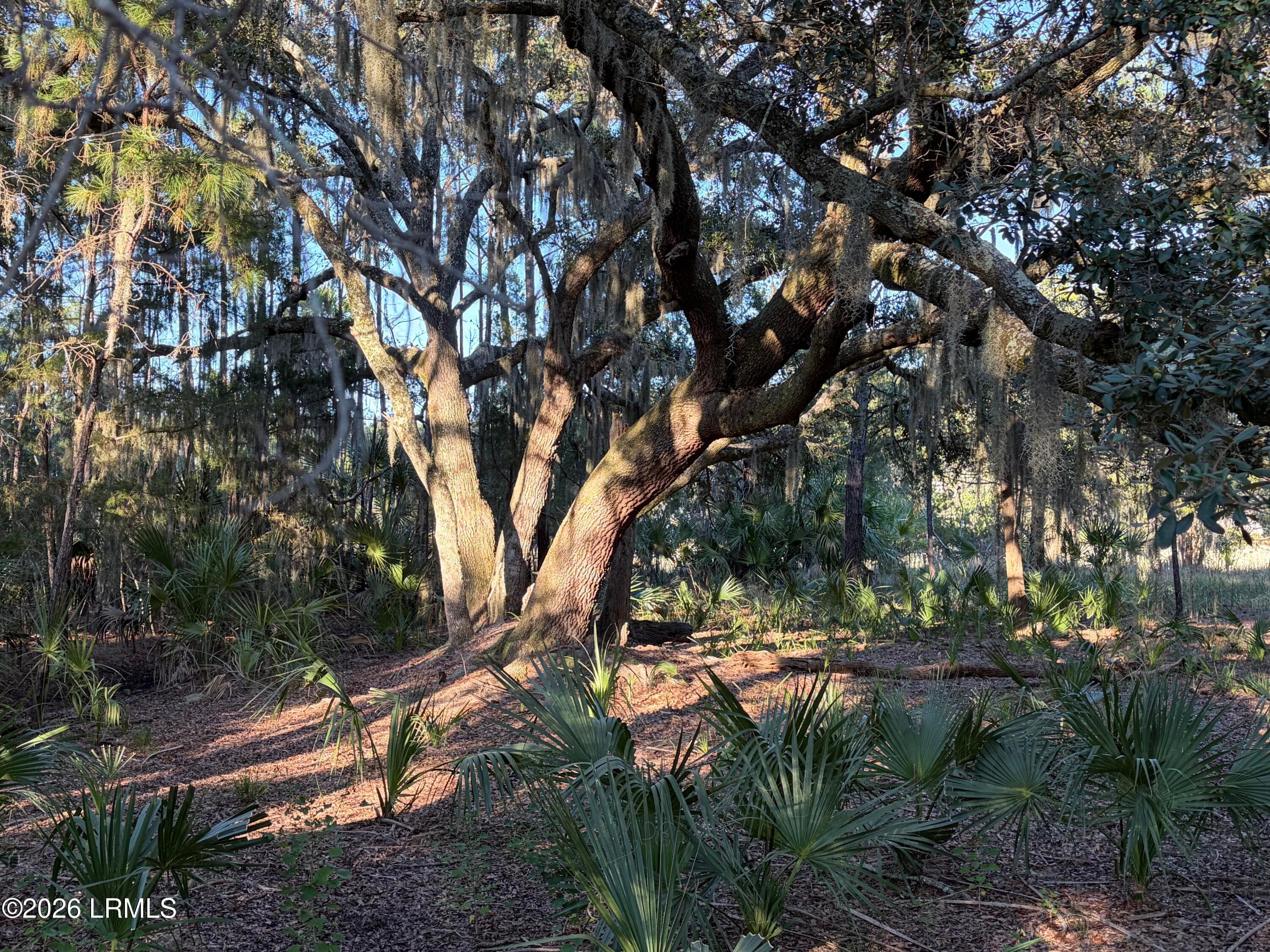 IMG_7001 - 4 Governor Blake Drive, Beaufort, SC 29907, Beaufort