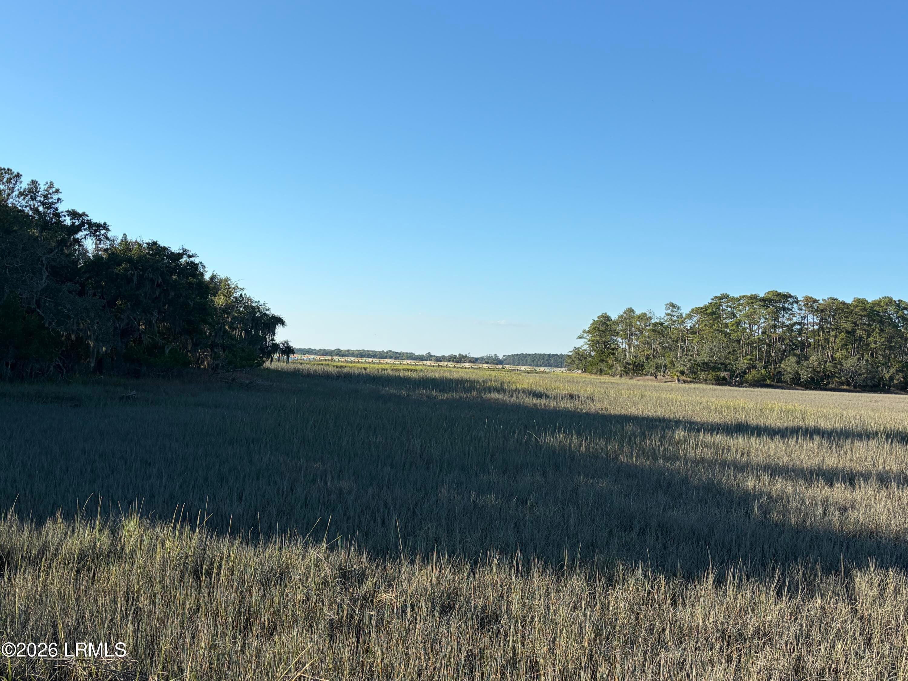 IMG_7003 - 4 Governor Blake Drive, Beaufort, SC 29907, Beaufort