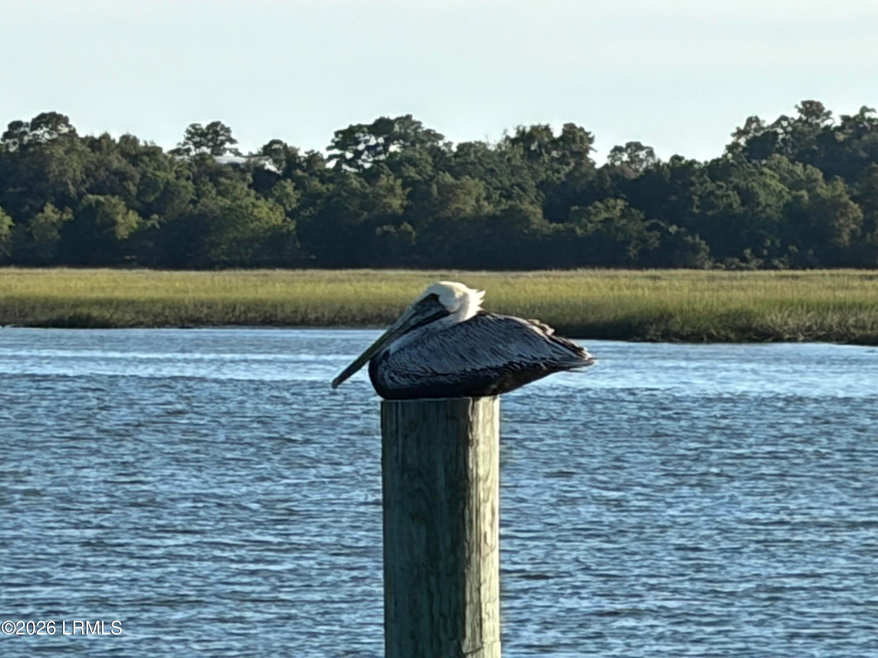 IMG_7011 - 4 Governor Blake Drive, Beaufort, SC 29907, Beaufort