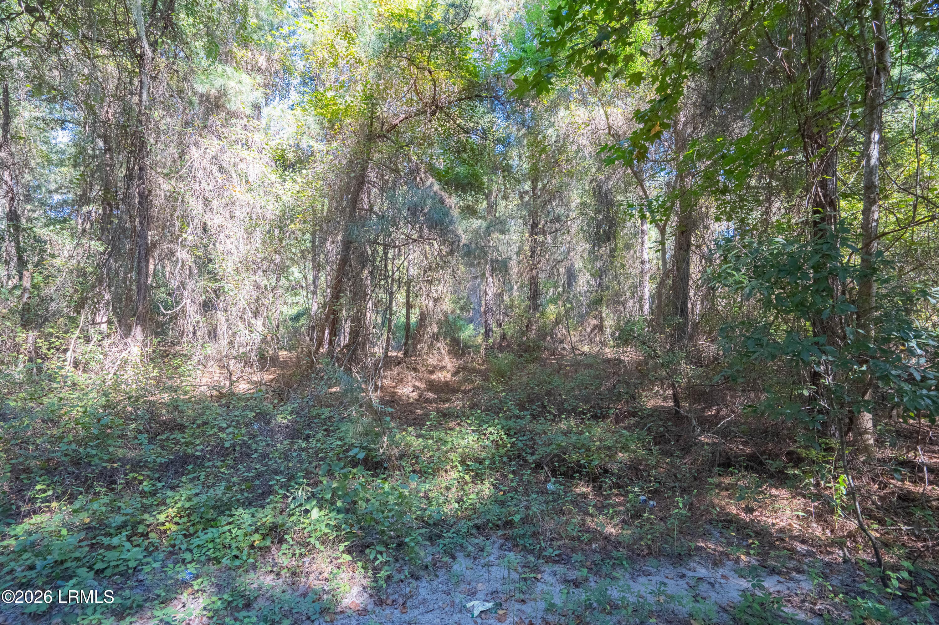 15 & 21 Chapin-2 - 15 Chaplin Drive, St. Helena Island, SC 29920, St. Helena Island