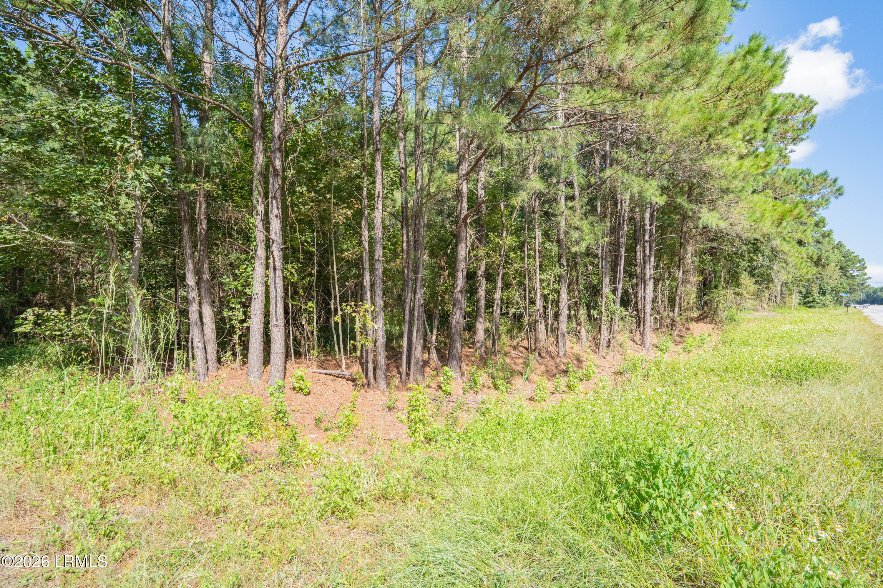 18 Mustang-1 - 18 Mustang Lane, St. Helena Island, SC 29920, St. Helena Island