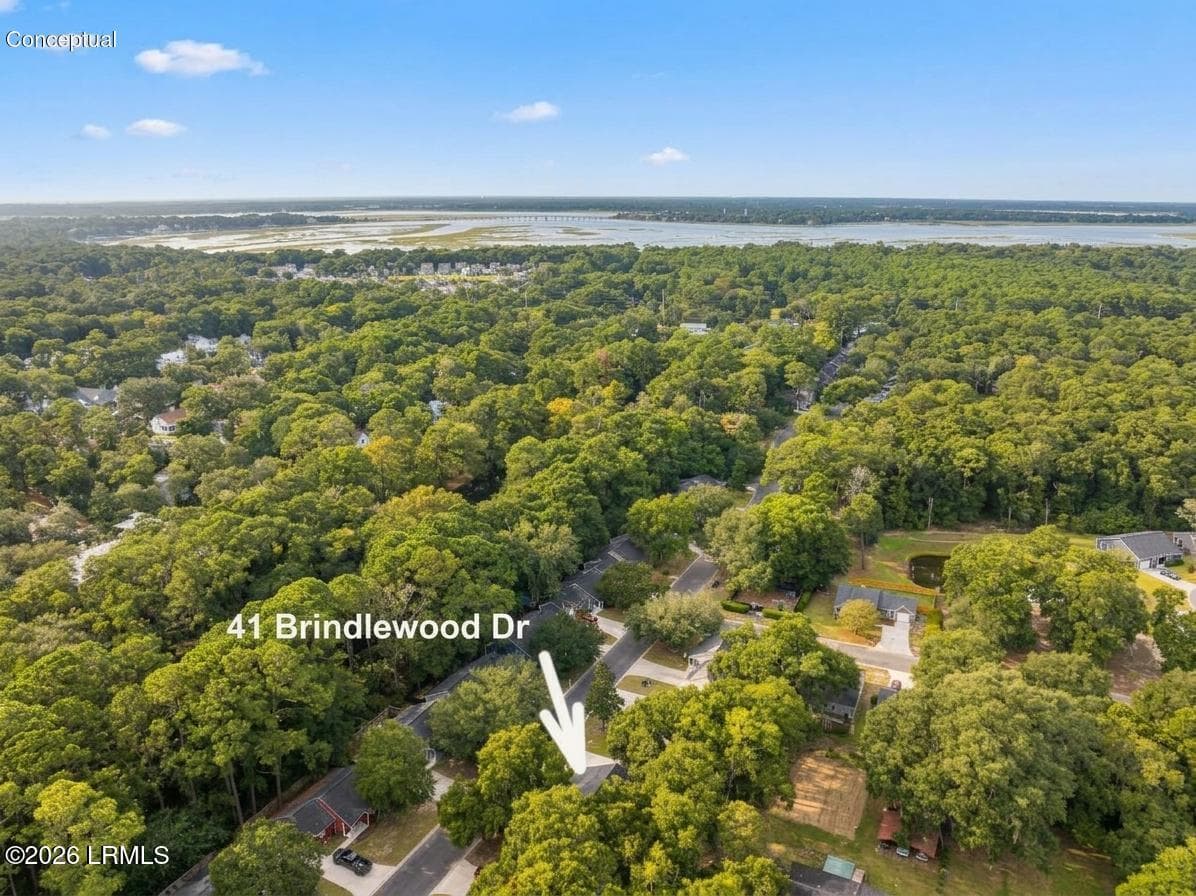 collov-ai_20261005182143_1qgdqw - 41 Brindlewood Drive, Beaufort, SC 29907, Beaufort