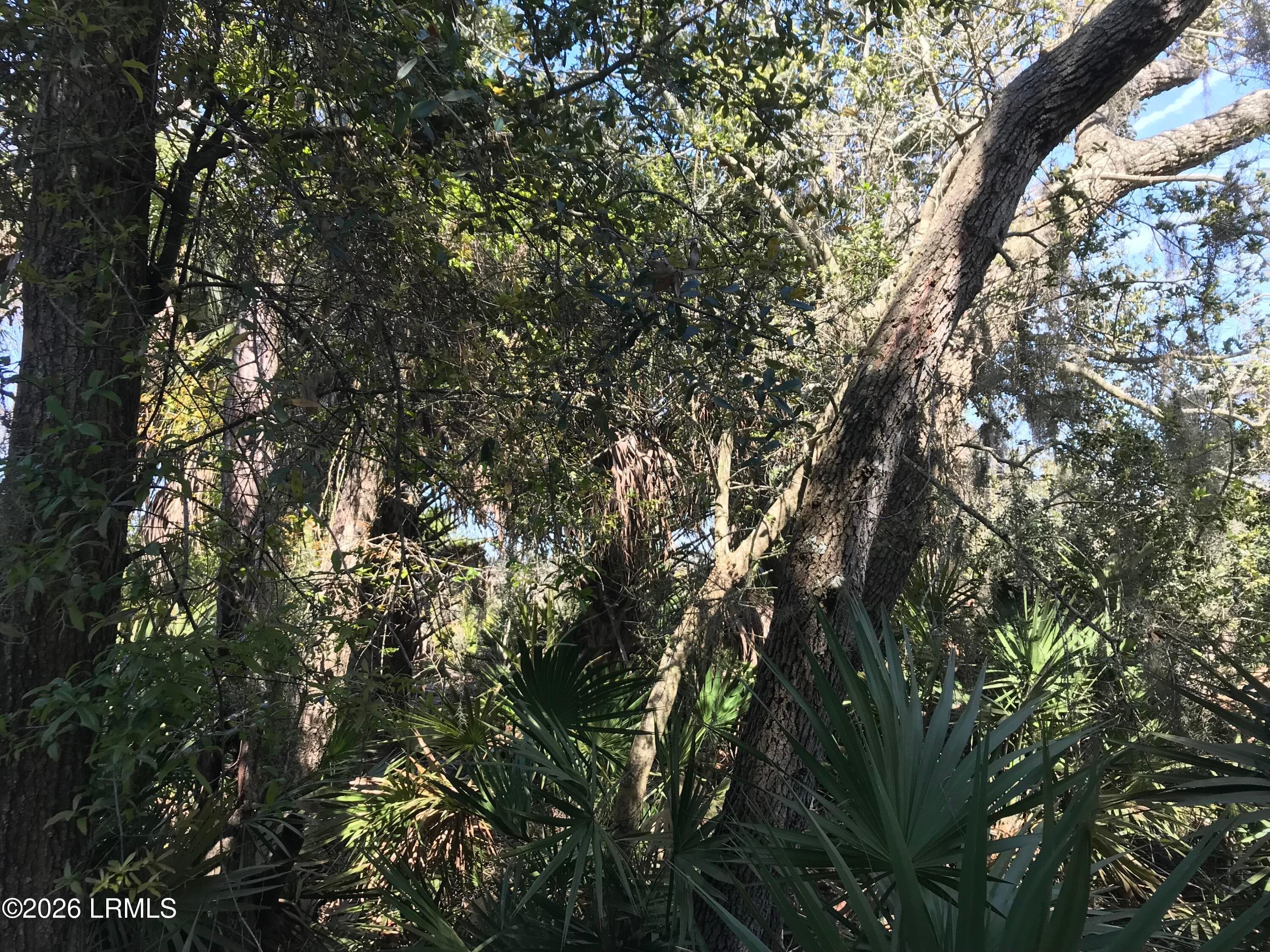 Chip Bergh - image_6 - 371 Pike Drive, Fripp Island, SC 29920, Fripp Island
