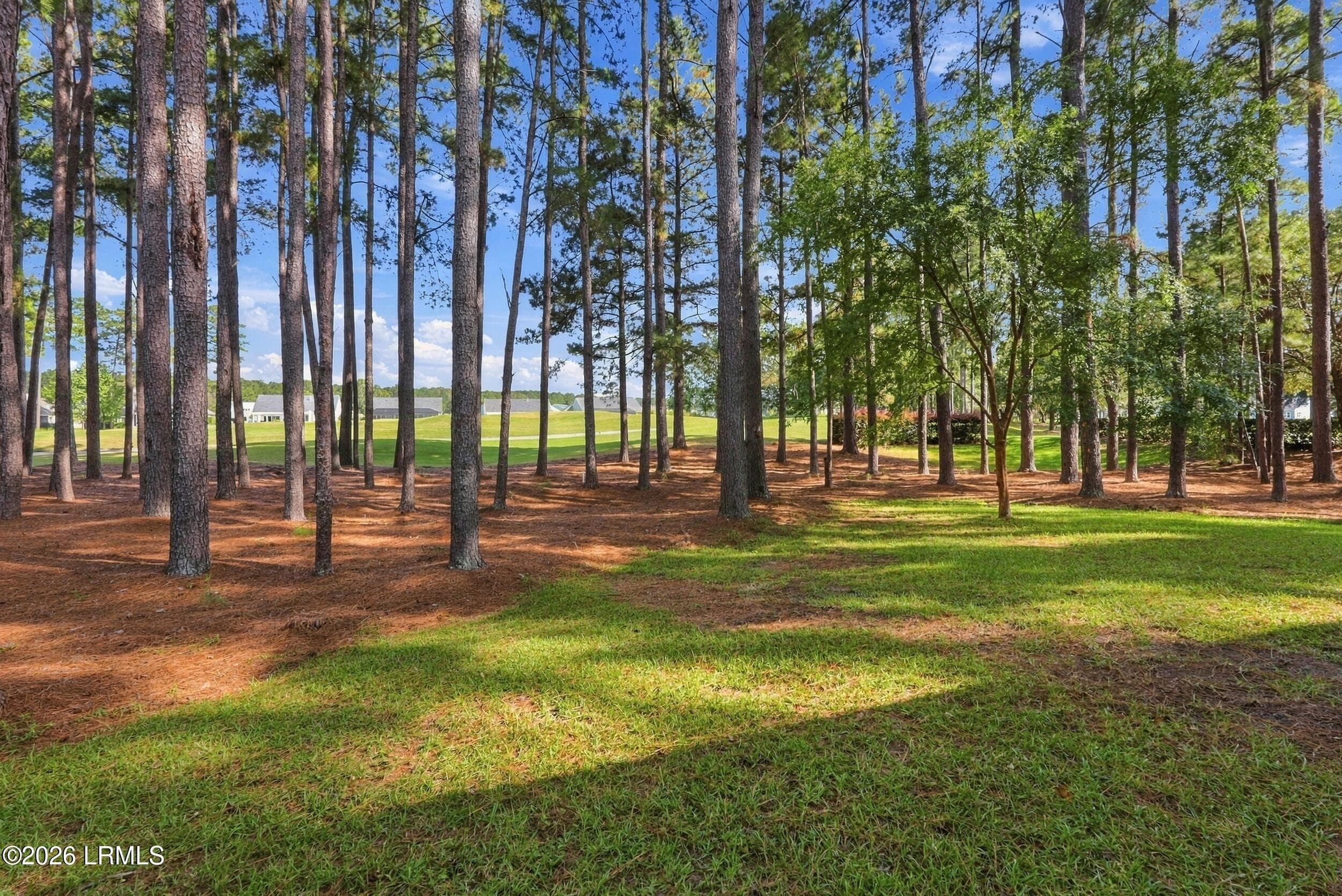 36_dsc00193 - 44 Mimosa Avenue, Hardeeville, SC 29927, Hardeeville