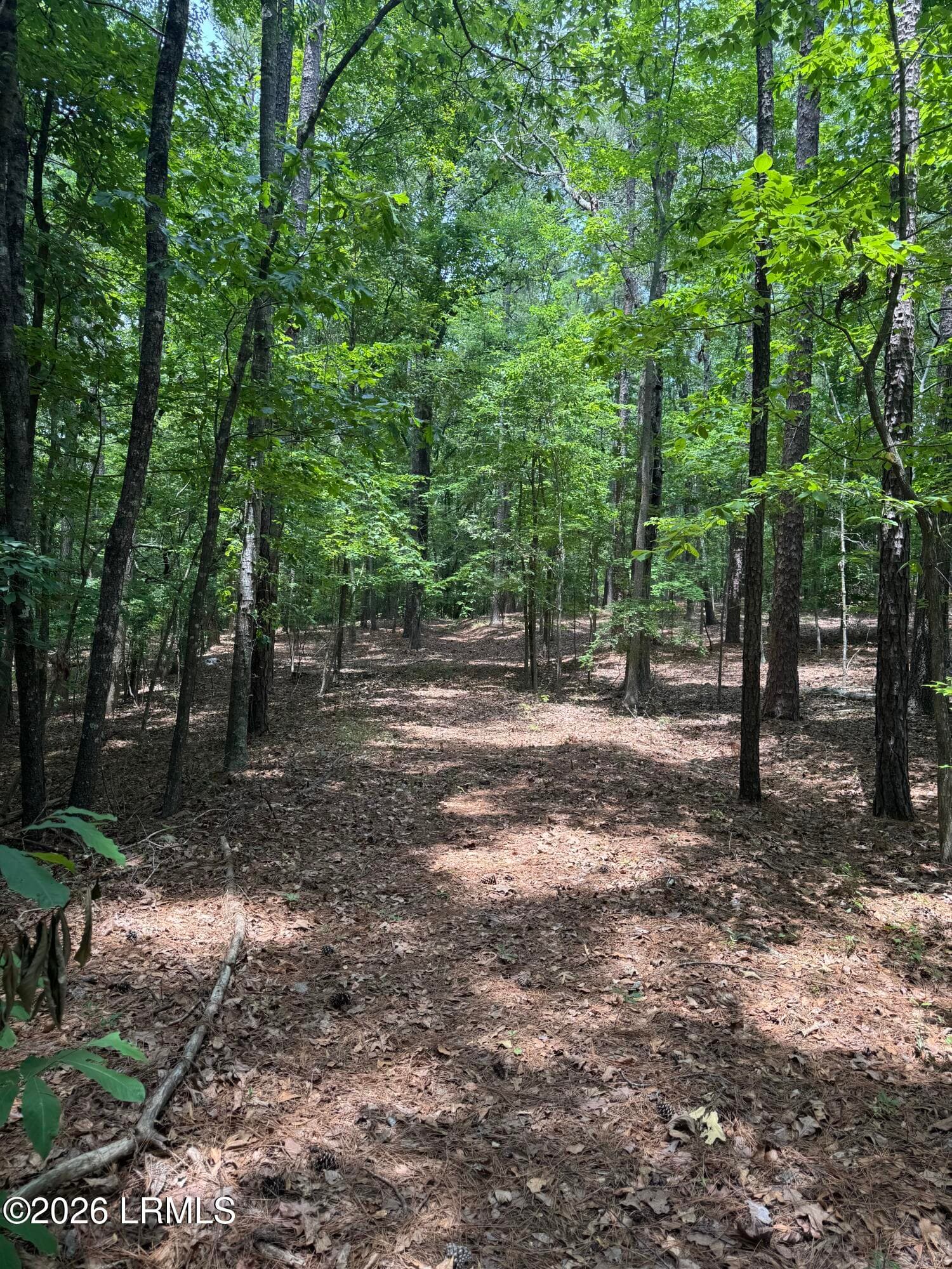 IMG_6270 - 298 Picard Loop, Santee, SC 29142, Santee