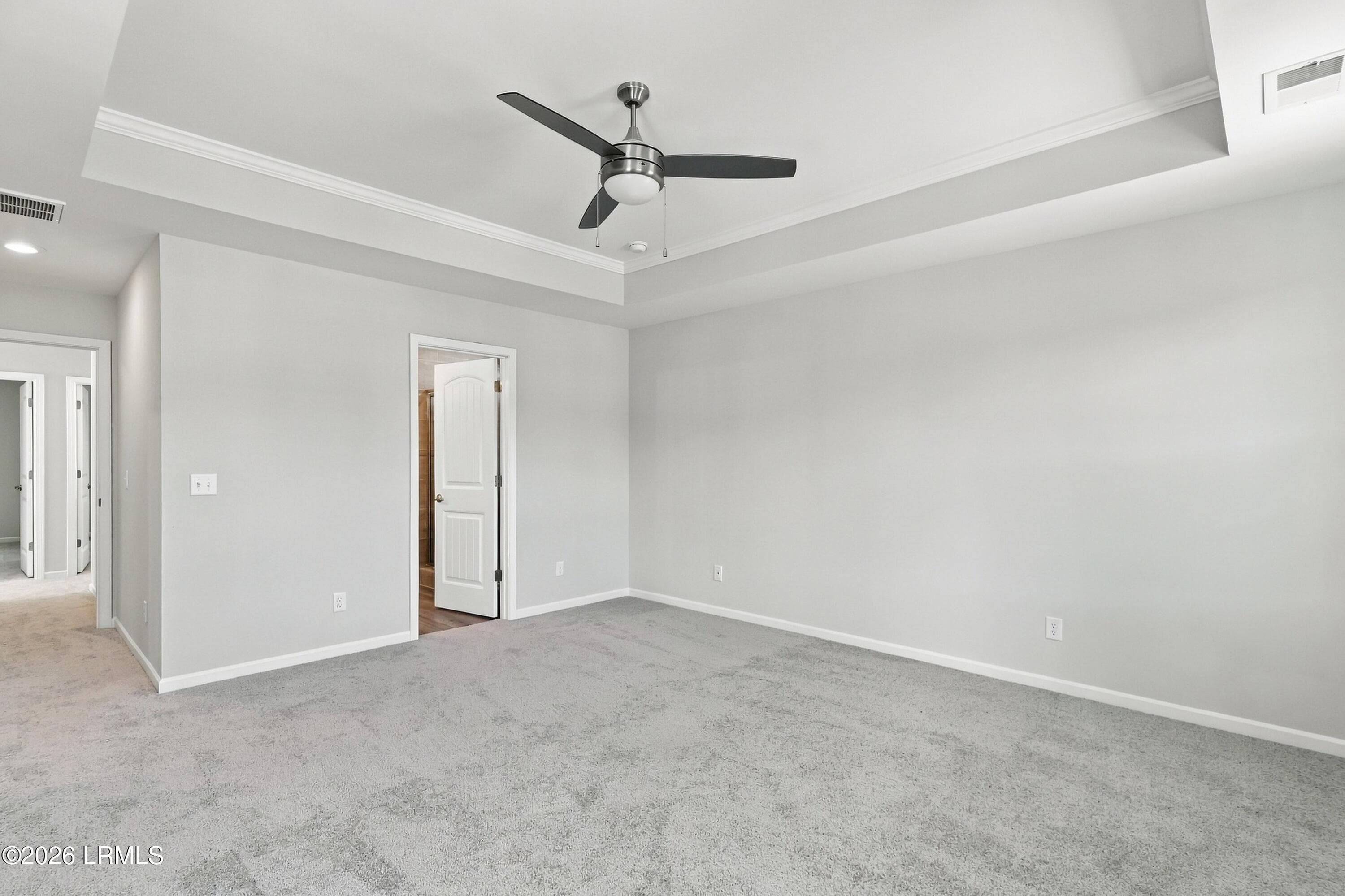Tray ceiling - 397 Conifer Street, Hardeeville, SC 29927