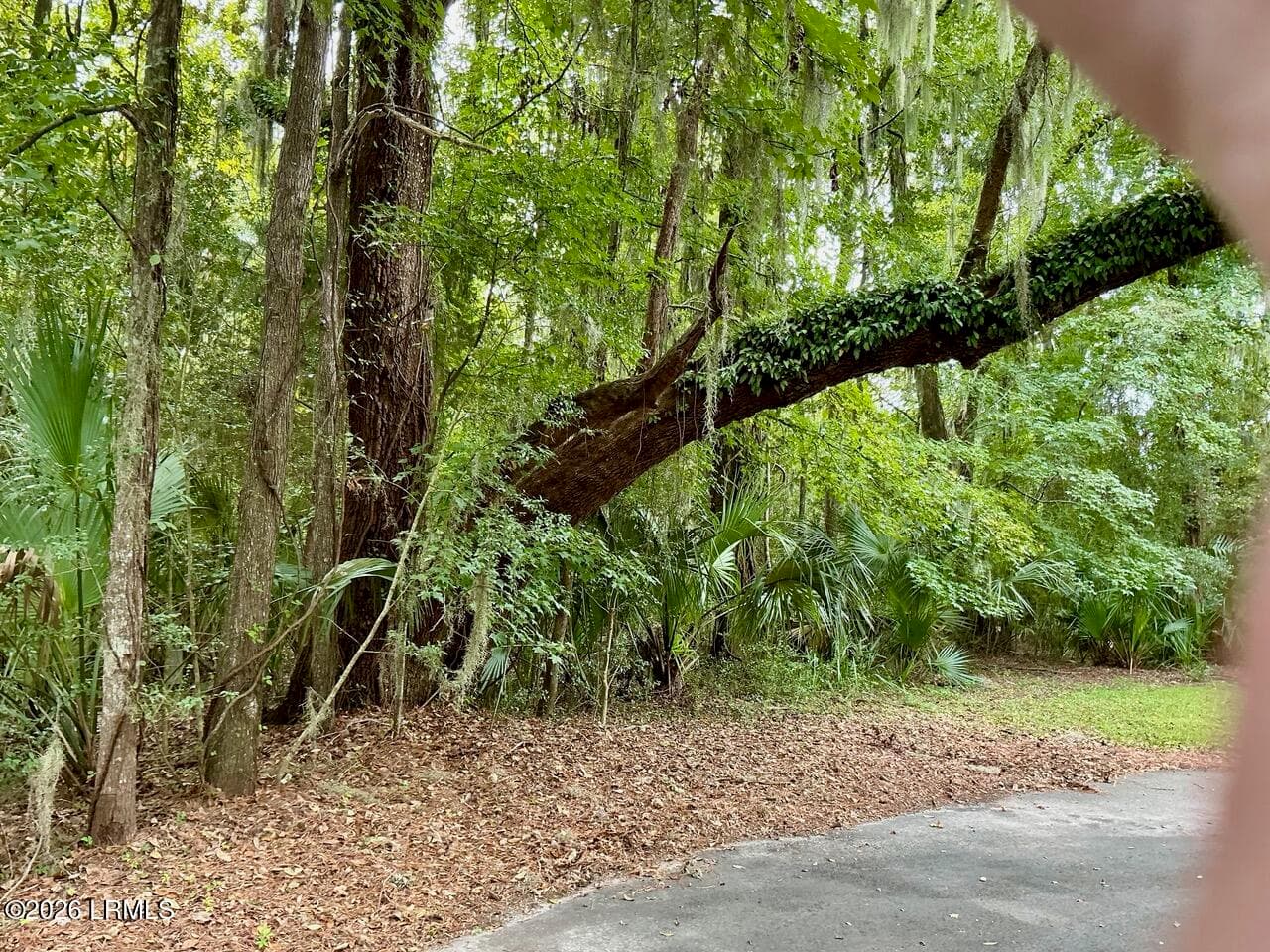 IMG_0306 - 80 N Boone Road, St. Helena Island, SC 29920, St. Helena Island