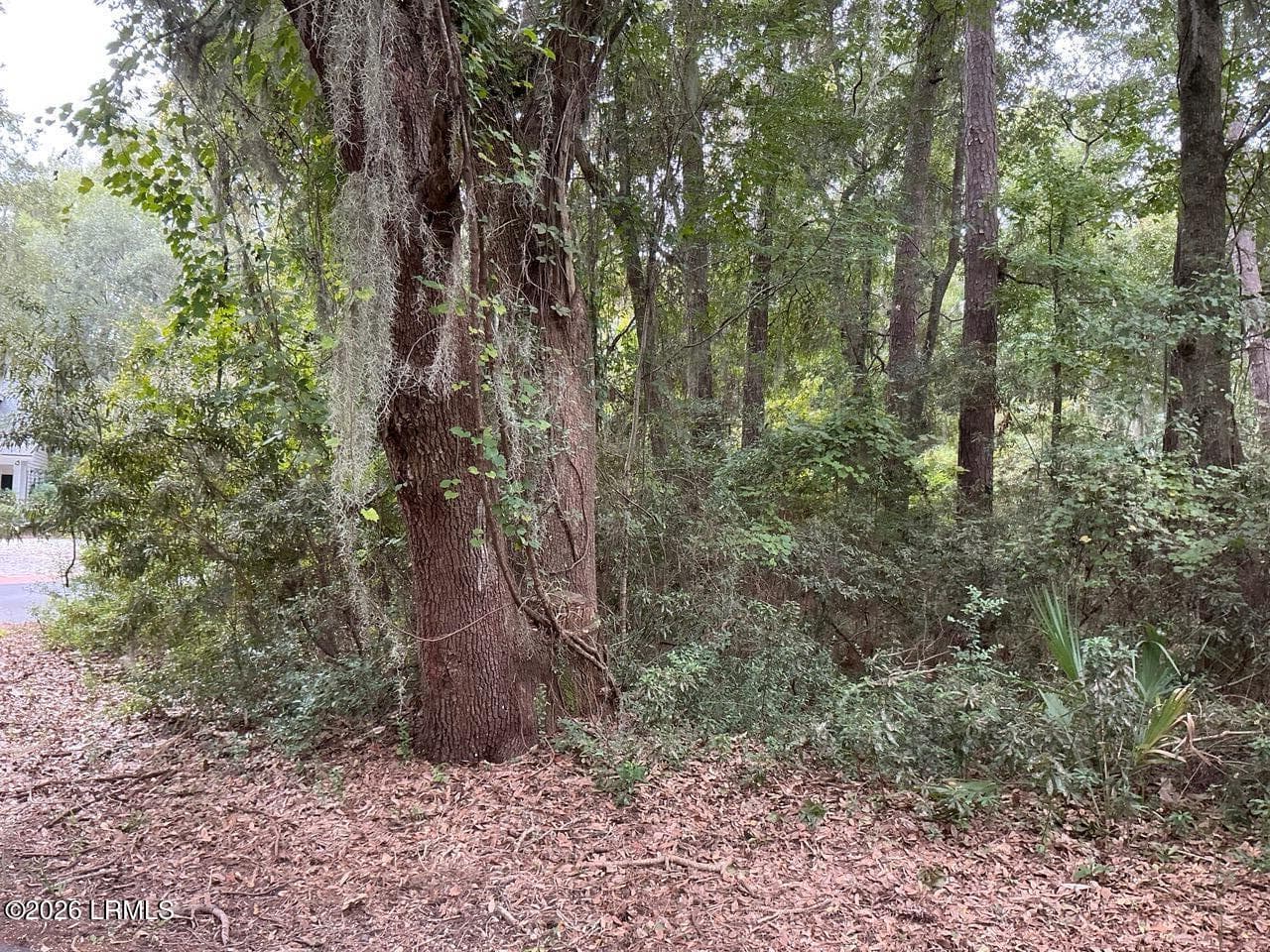 IMG_0315 - 80 N Boone Road, St. Helena Island, SC 29920, St. Helena Island