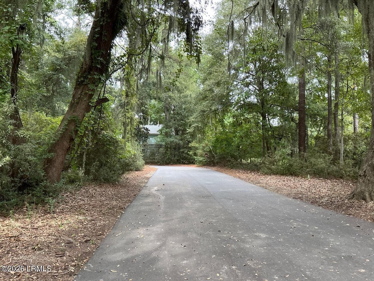 IMG_0321 - 80 N Boone Road, St. Helena Island, SC 29920, St. Helena Island