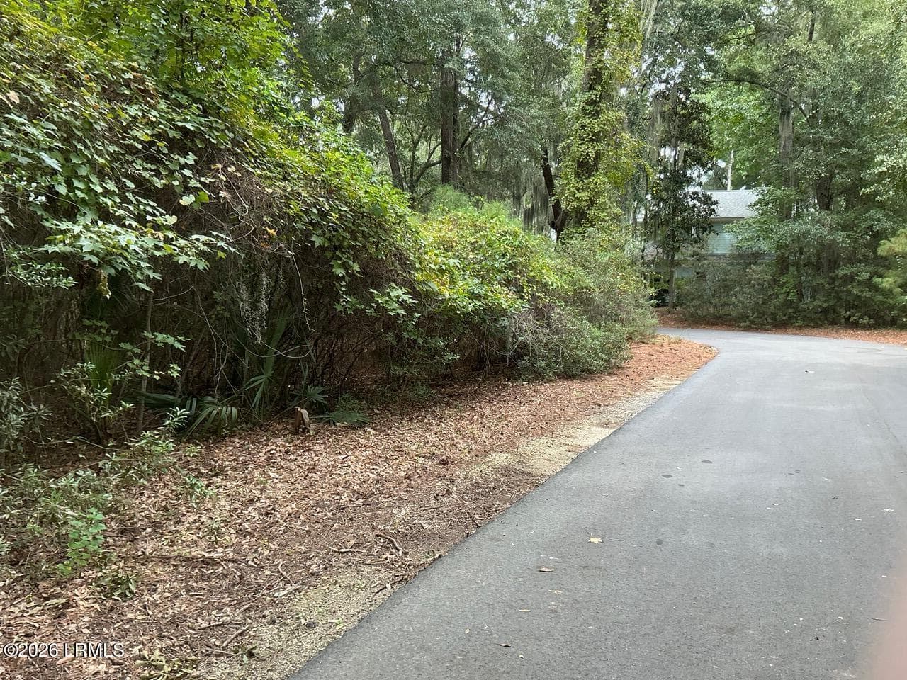 IMG_0322 - 80 N Boone Road, St. Helena Island, SC 29920, St. Helena Island