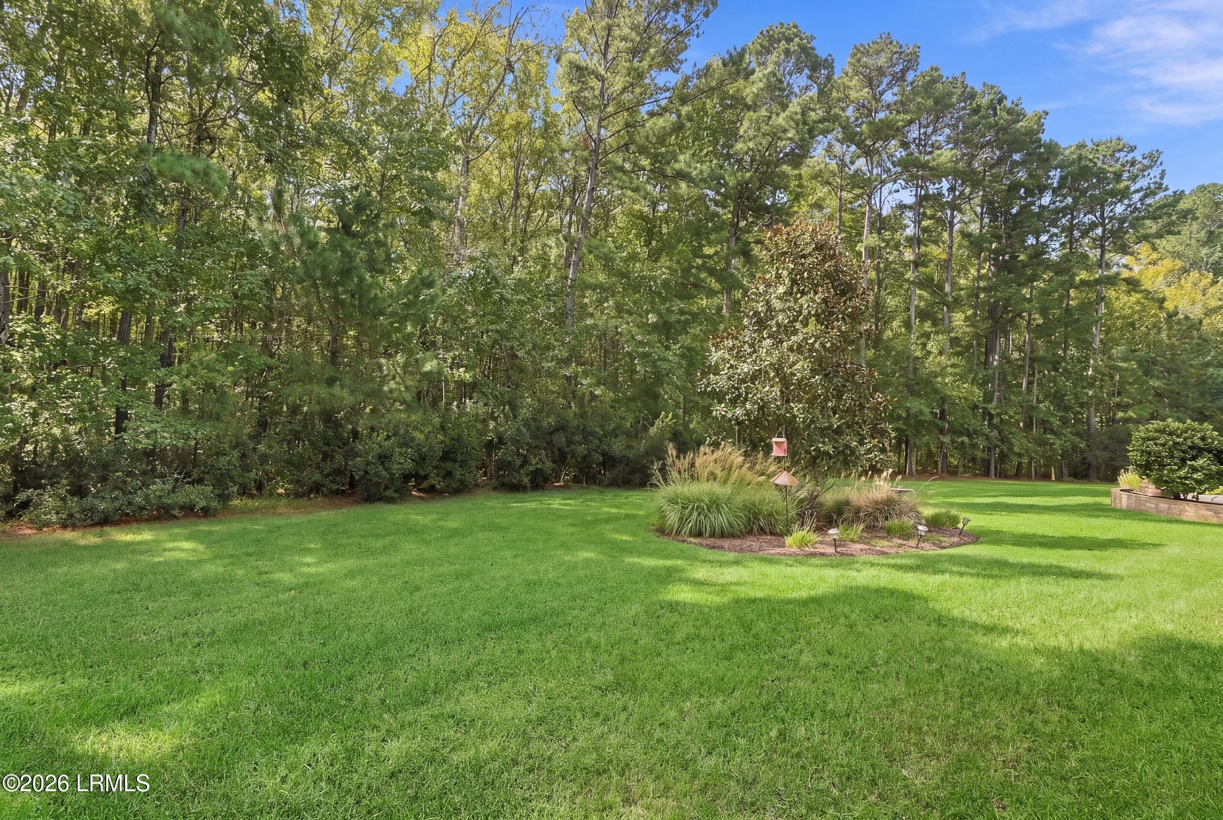 55_043_dsc06666_grass_4960b7e5 - 755 Freshwater Lane, Bluffton, SC 29909, Bluffton