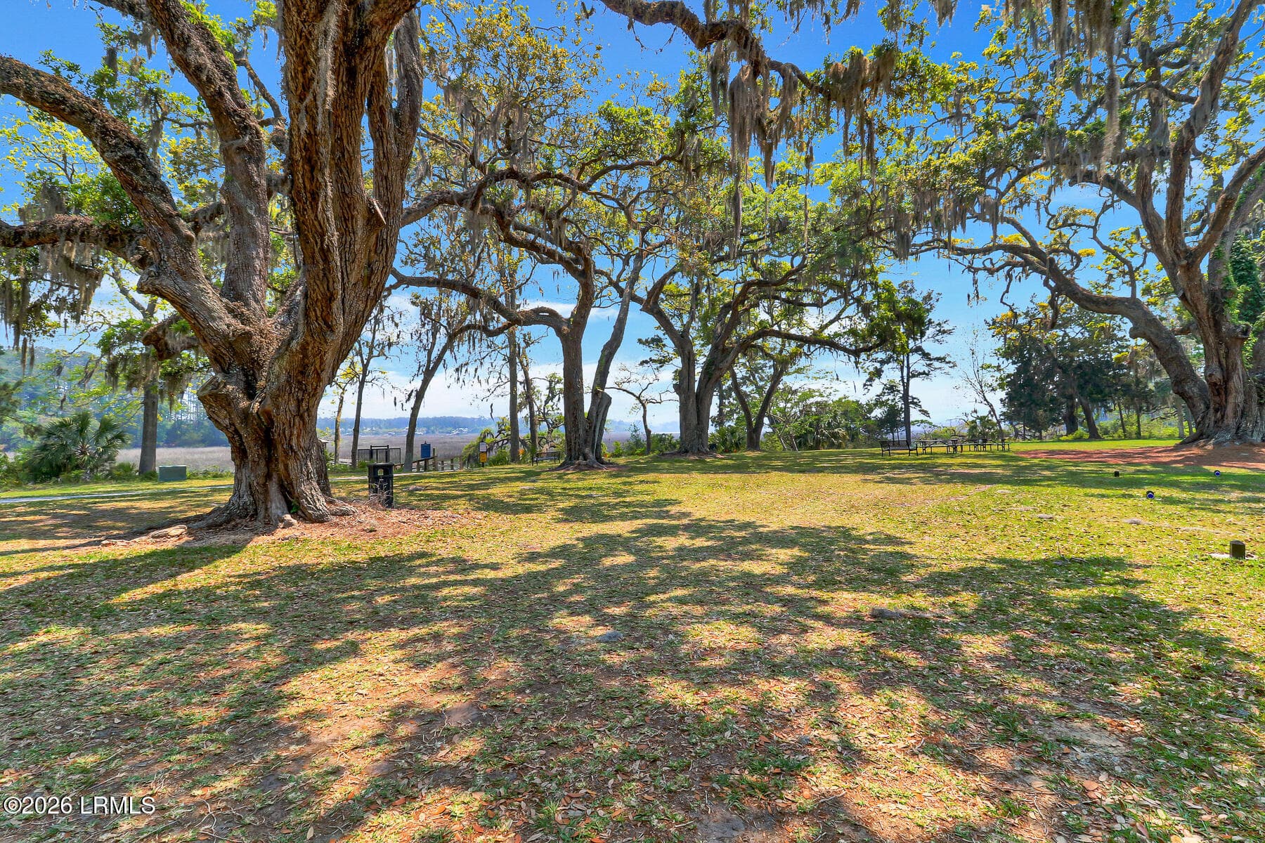 Malind Bluff Amenities-3 - 124 Danner Drive, Okatie, SC 29909, Okatie