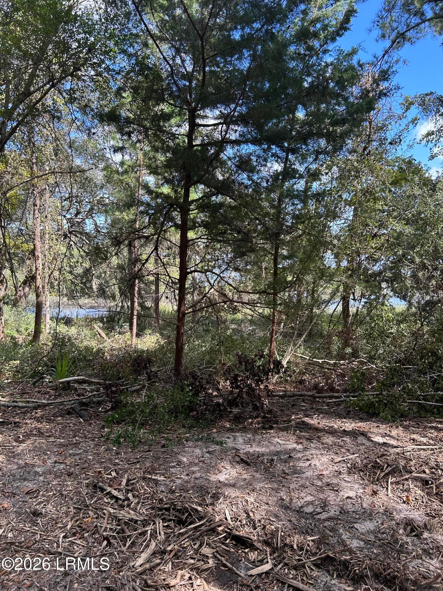 Huspah creek lots4 - 27 Frazier Landing Road, Sheldon, SC 29941