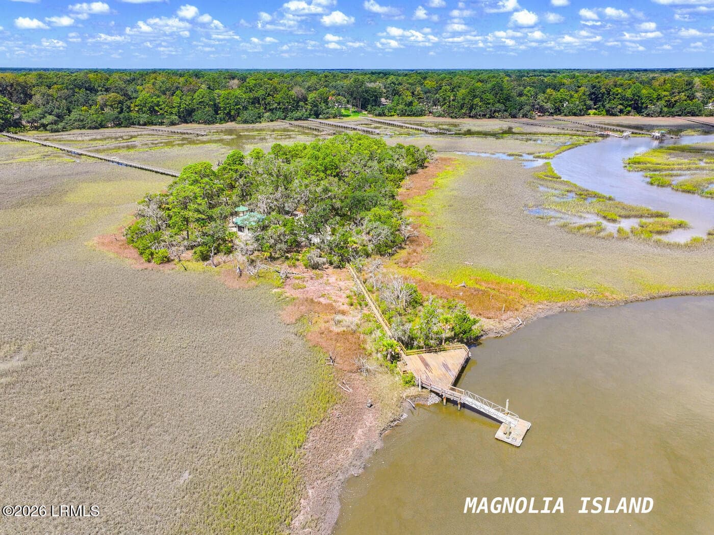 dji_fly_20260903_074606_0038_17885509556 - 85 Tomotley Barony Drive, Seabrook, SC 29940