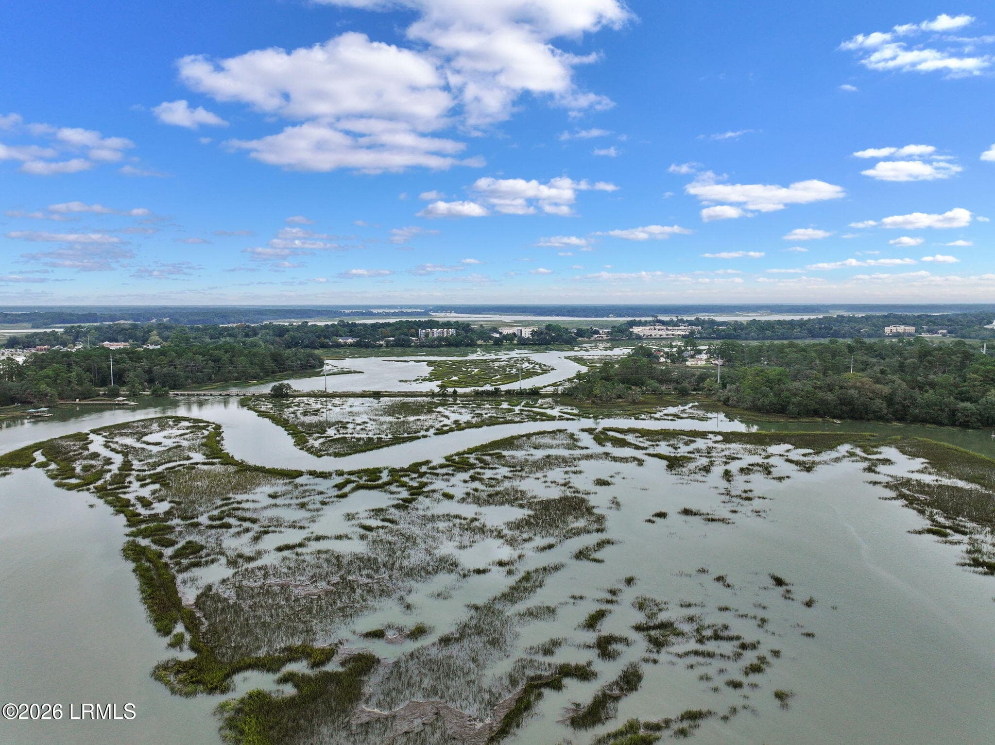 10-web-or-mls-DJI_20261009230113_0801_D - 1272 Windswept Oak Lane, Beaufort, SC 29902