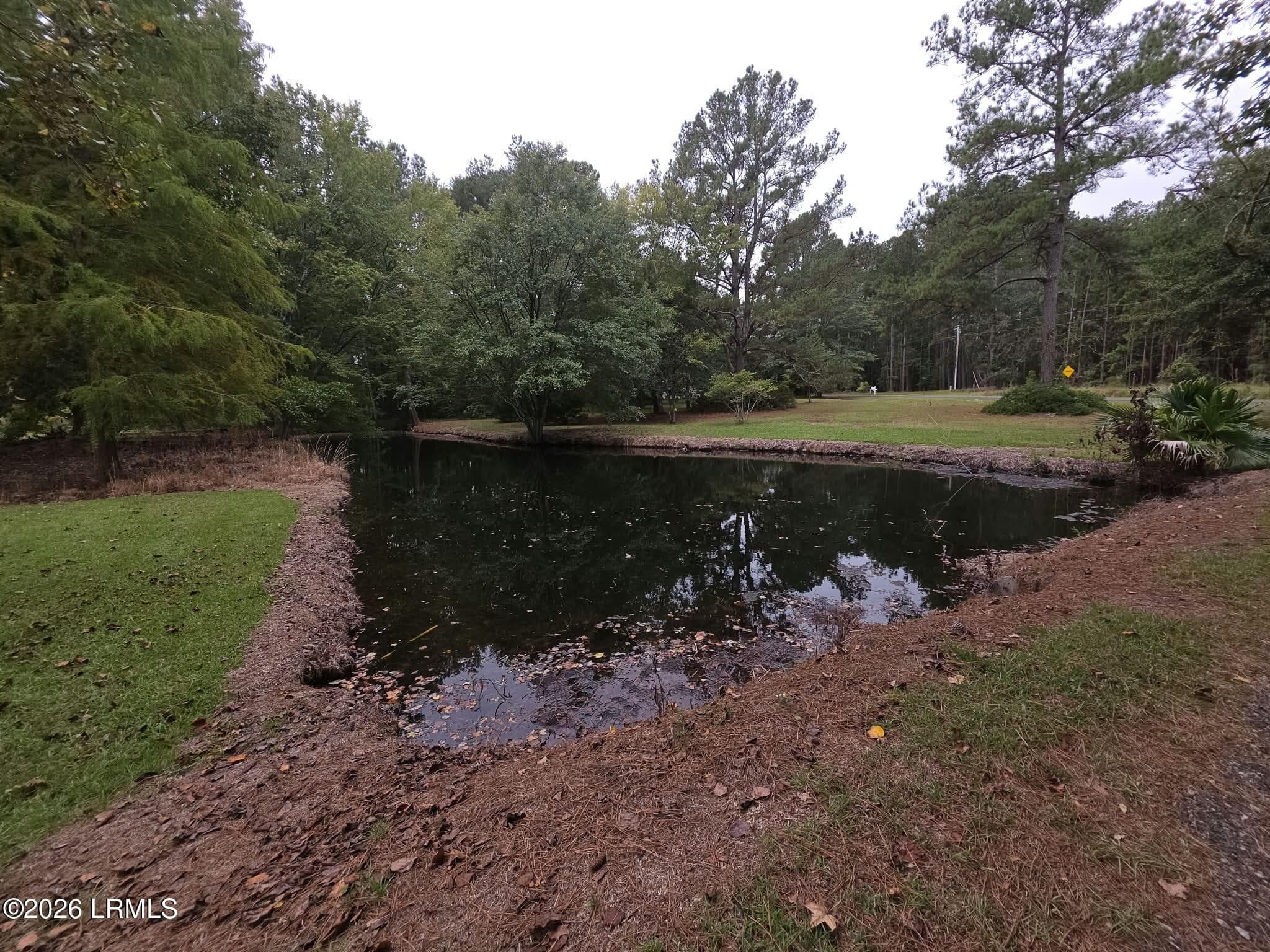 79806f00-a4f1-46fb-abf1-12bef461b054 - 1512 Big Branch Road, Early Branch, SC 29916