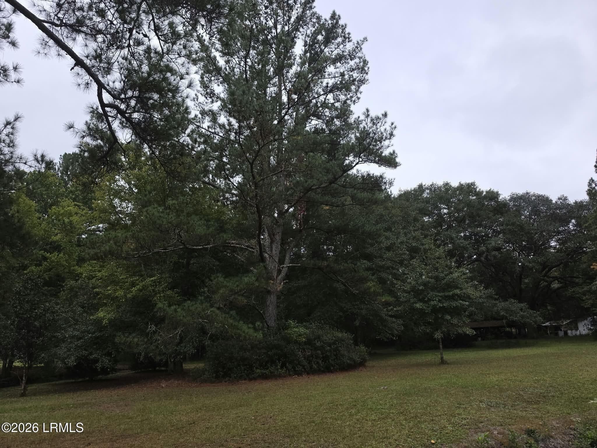 ec13b47e-511d-4149-aa59-3c7dfdc95415 - 1512 Big Branch Road, Early Branch, SC 29916