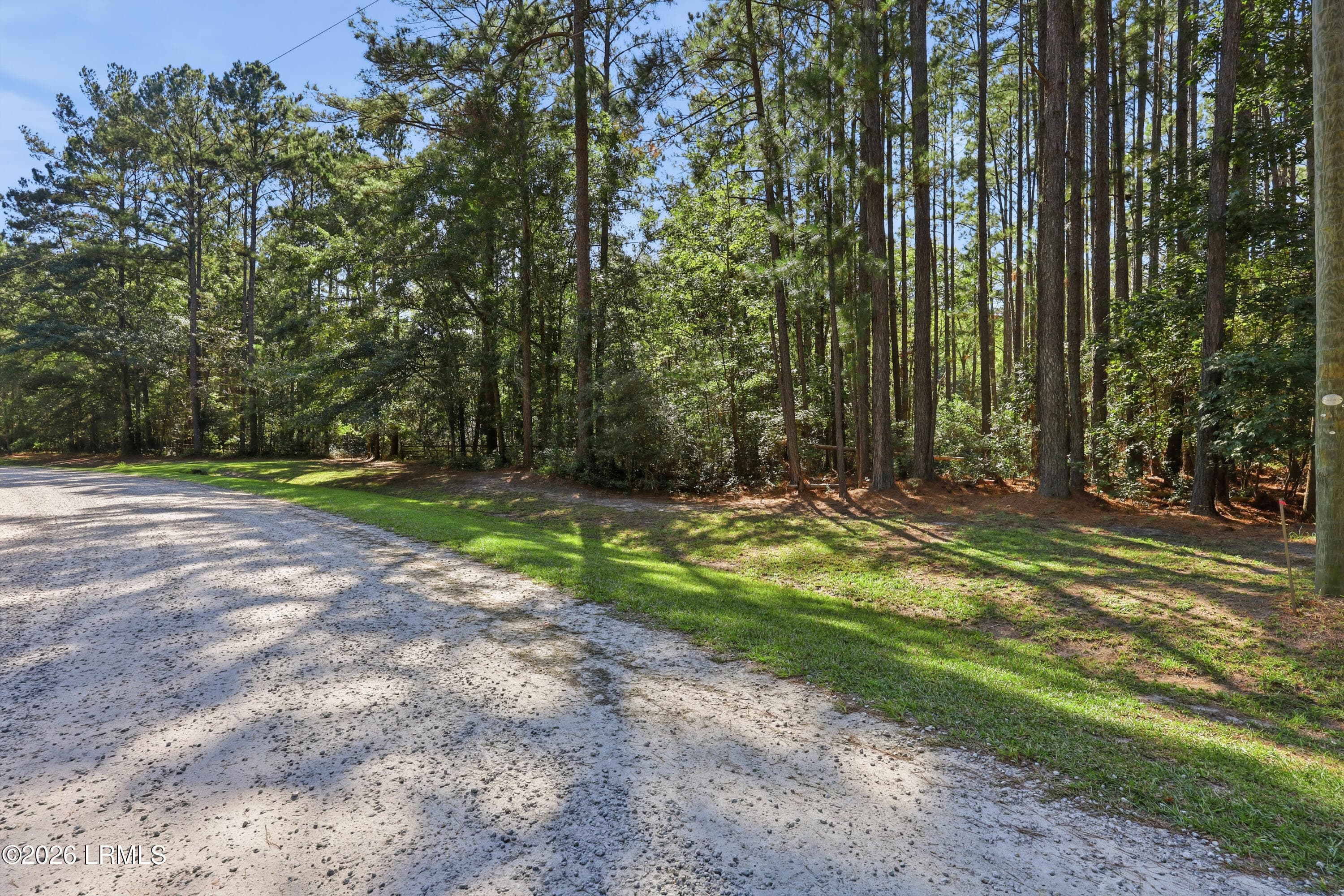 Honey Hill Circle property view - 2248 Honey Hill Circle, Ridgeland, SC 29936