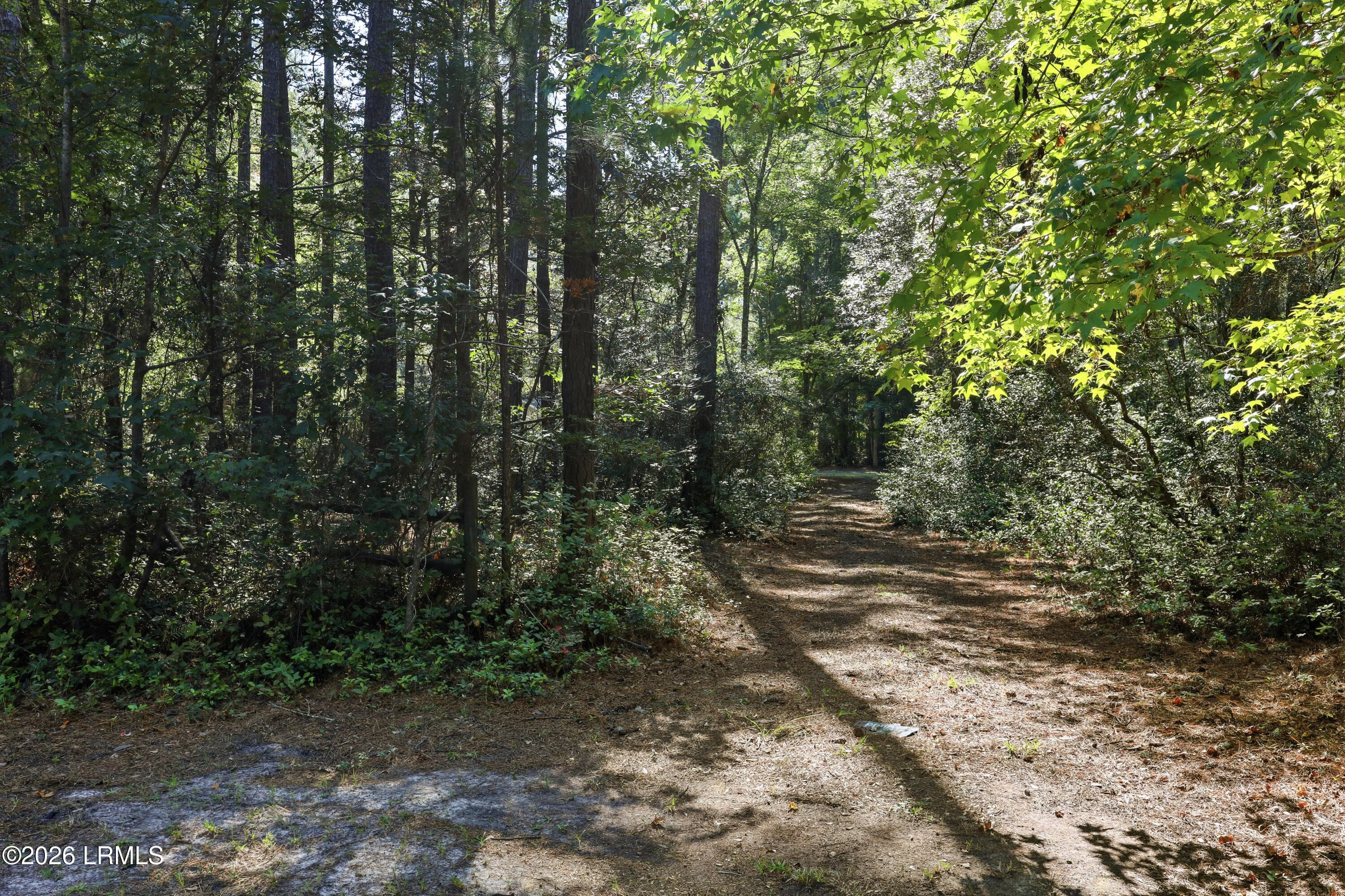 Trail - 2248 Honey Hill Circle, Ridgeland, SC 29936