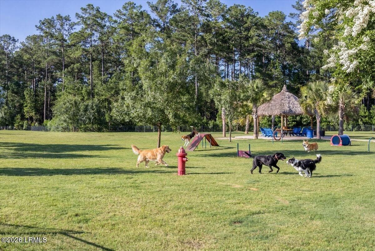 086-LMHH Barkaritaville Dog Park (3) - 27 Flip Flop Court, Hardeeville, SC 29927