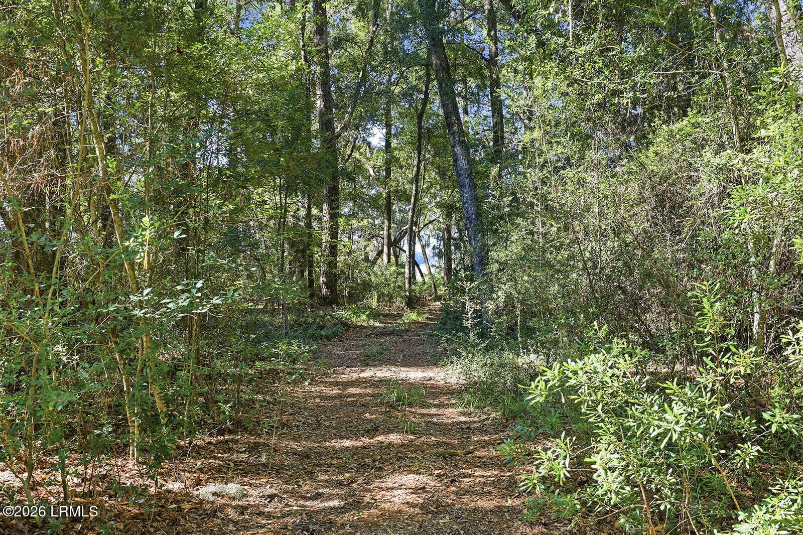 IMG_0145 - 186 Bull Point Drive, Seabrook, SC 29940