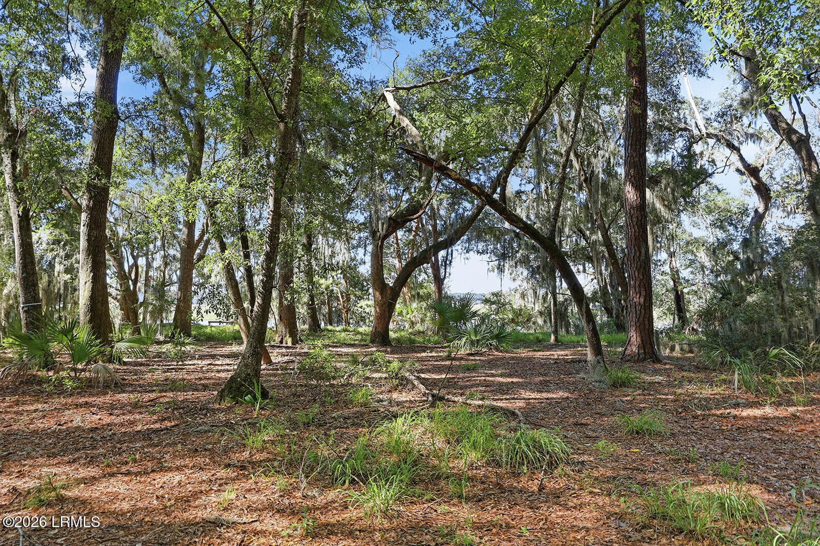 IMG_0154 - 186 Bull Point Drive, Seabrook, SC 29940