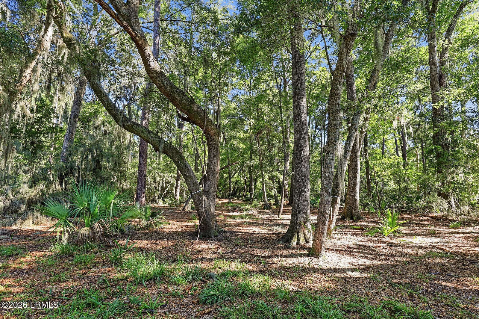 IMG_0180 - 186 Bull Point Drive, Seabrook, SC 29940