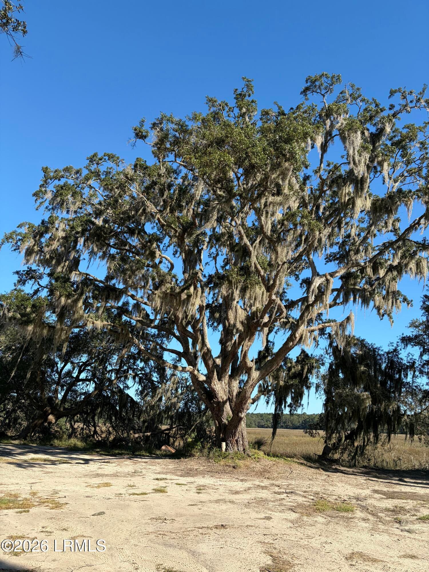 IMG_20261019_155454 - 15259 Bennetts Point Road, Green Pond, SC 29446