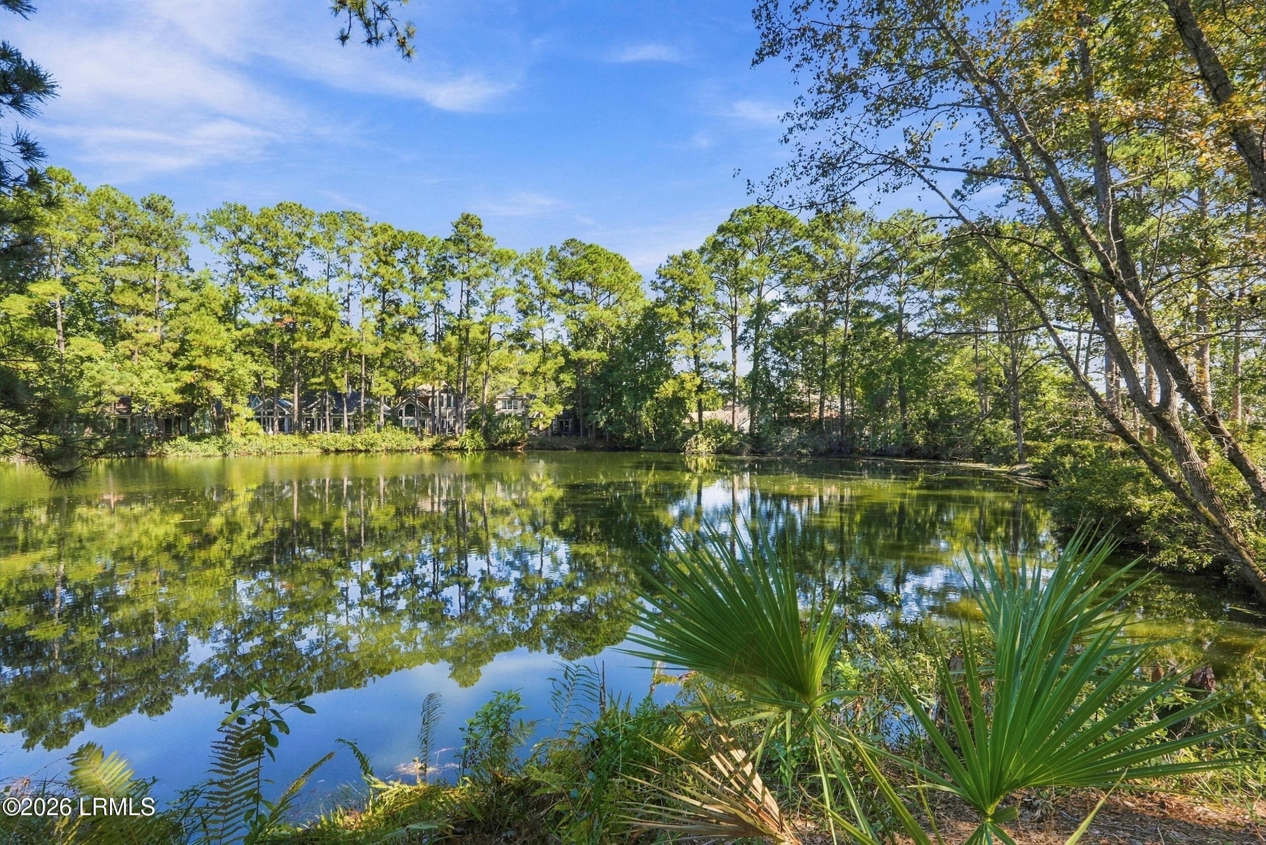 63_dsc06063 - 20 Toppin Drive, Hilton Head Island, SC 29926